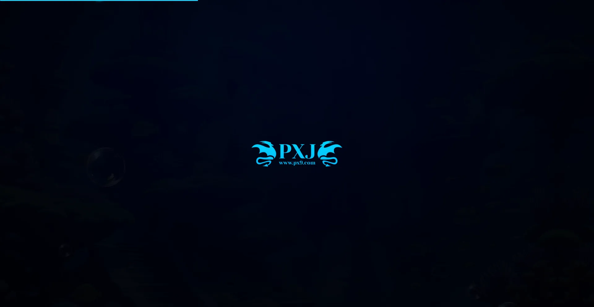 Website screenshot of Pxj888.com