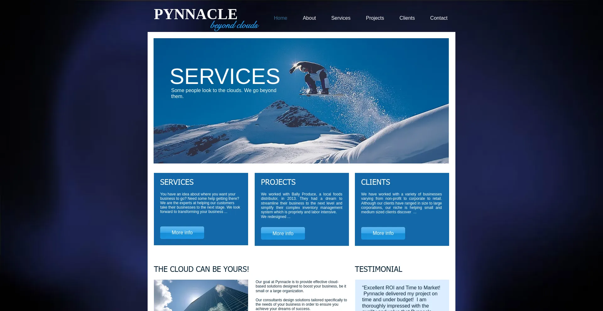 Website screenshot of Pynnacle.com