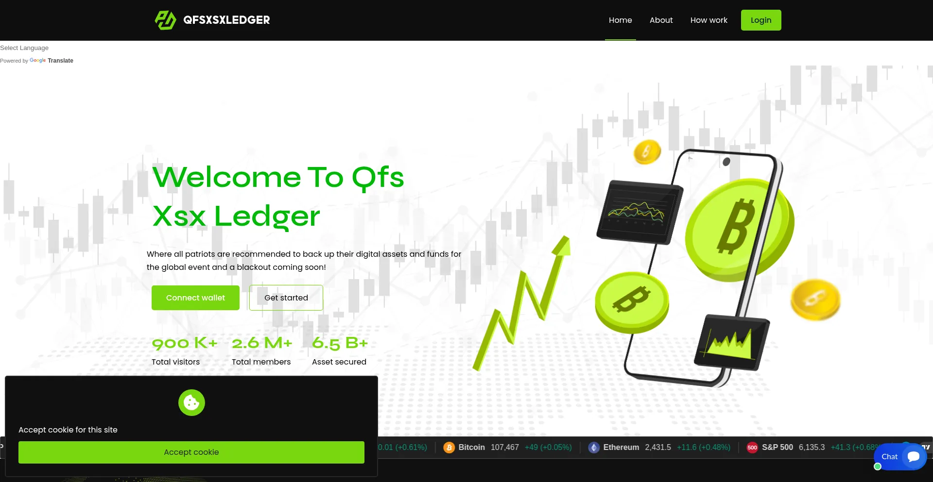 Website screenshot of Qfsxsxledger.com
