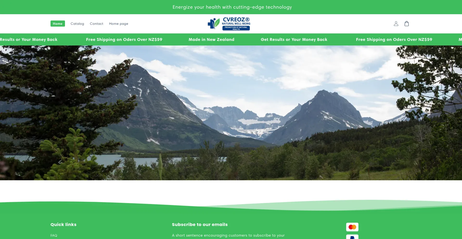 Website screenshot of Qoasoft.com