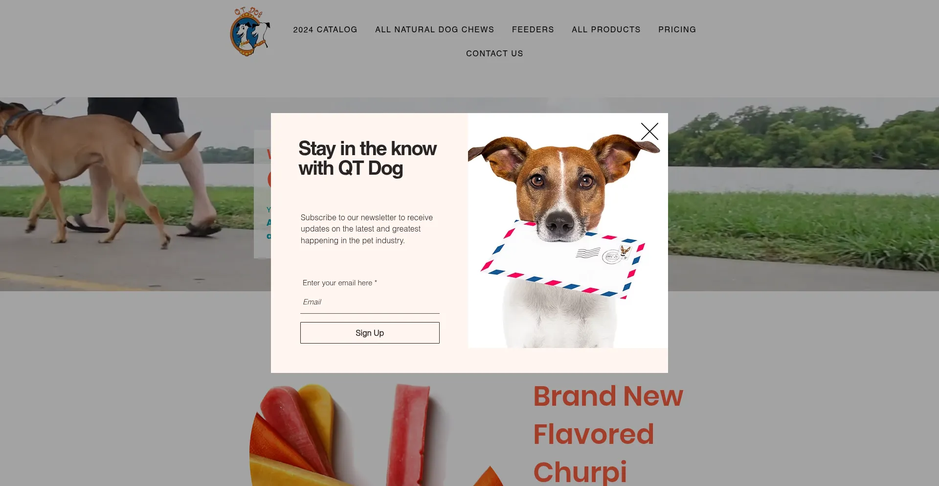 Qtdog.com