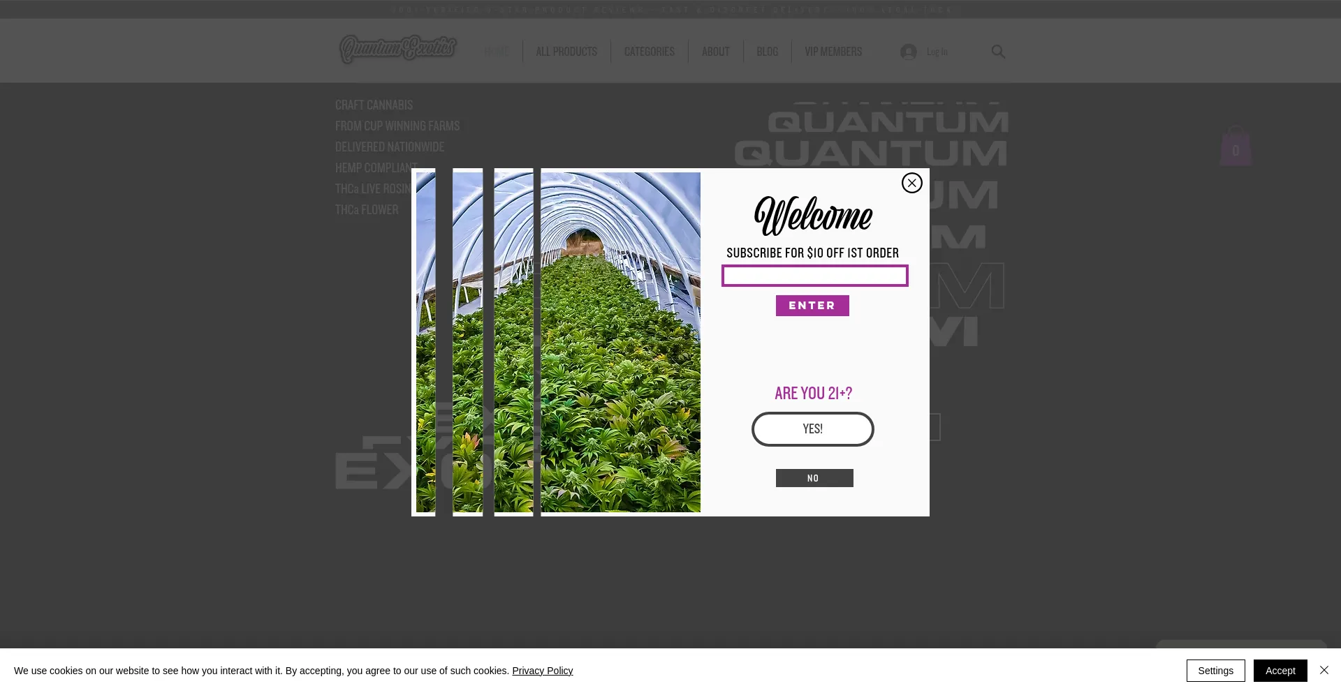 Website screenshot of Quantumexotics.com