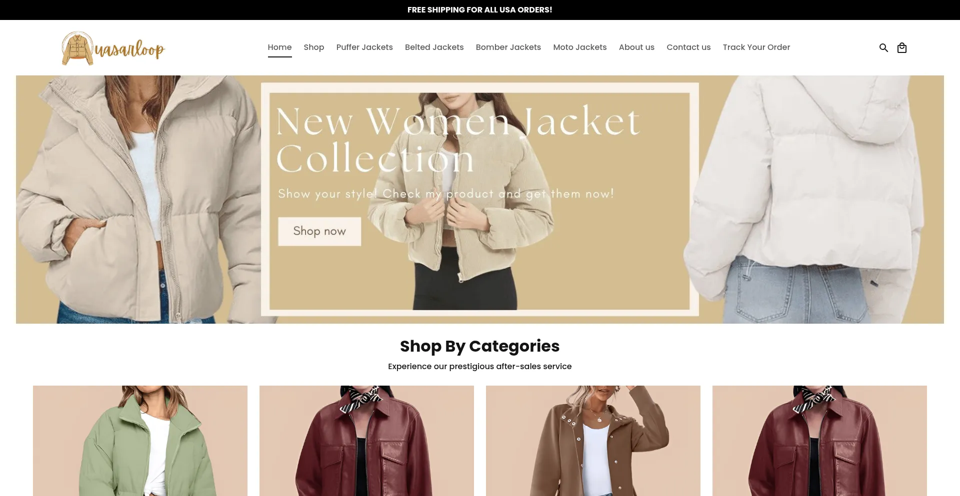 Website screenshot of Quasarloop.store