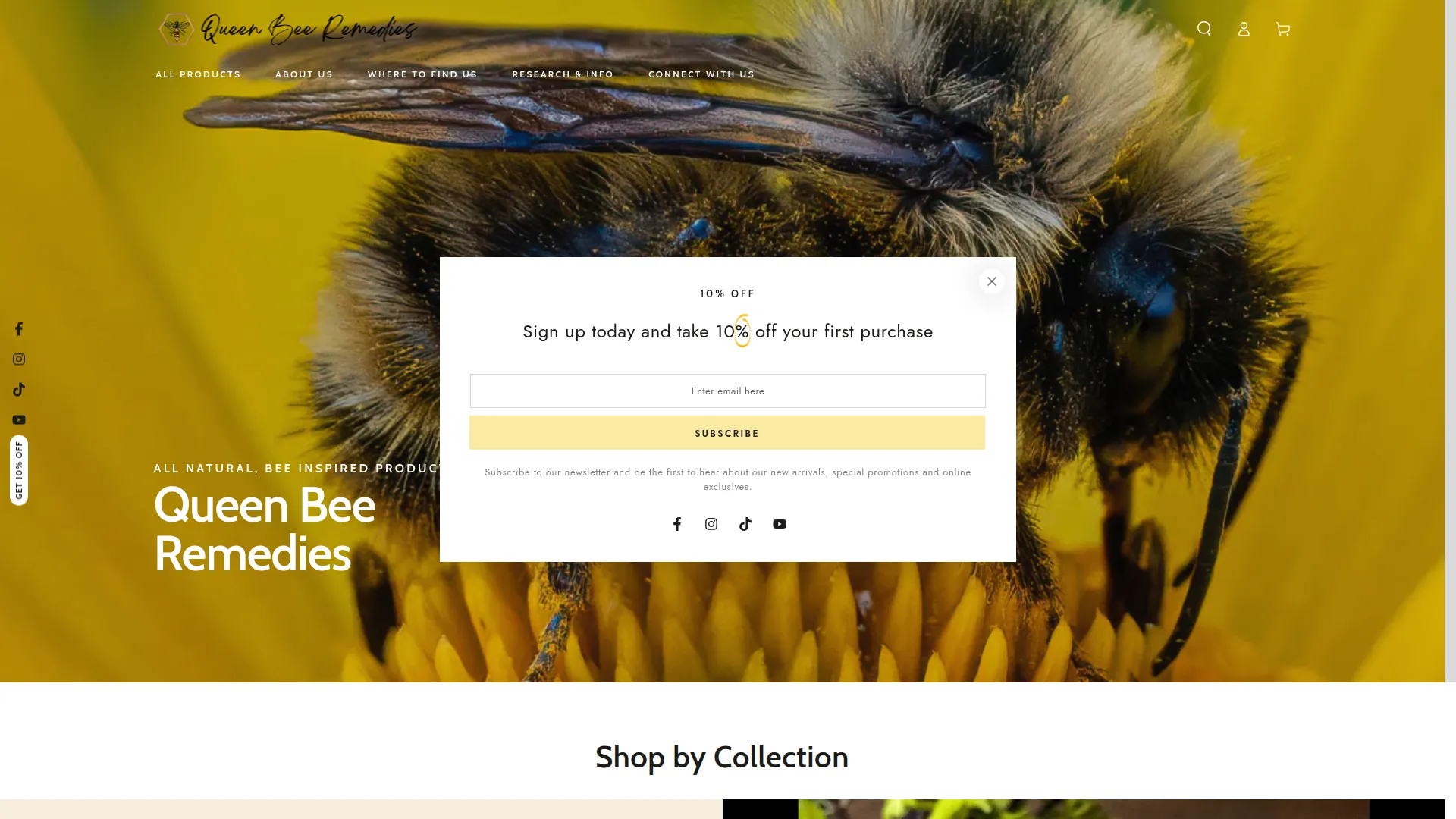 Queenbeeremedies.com