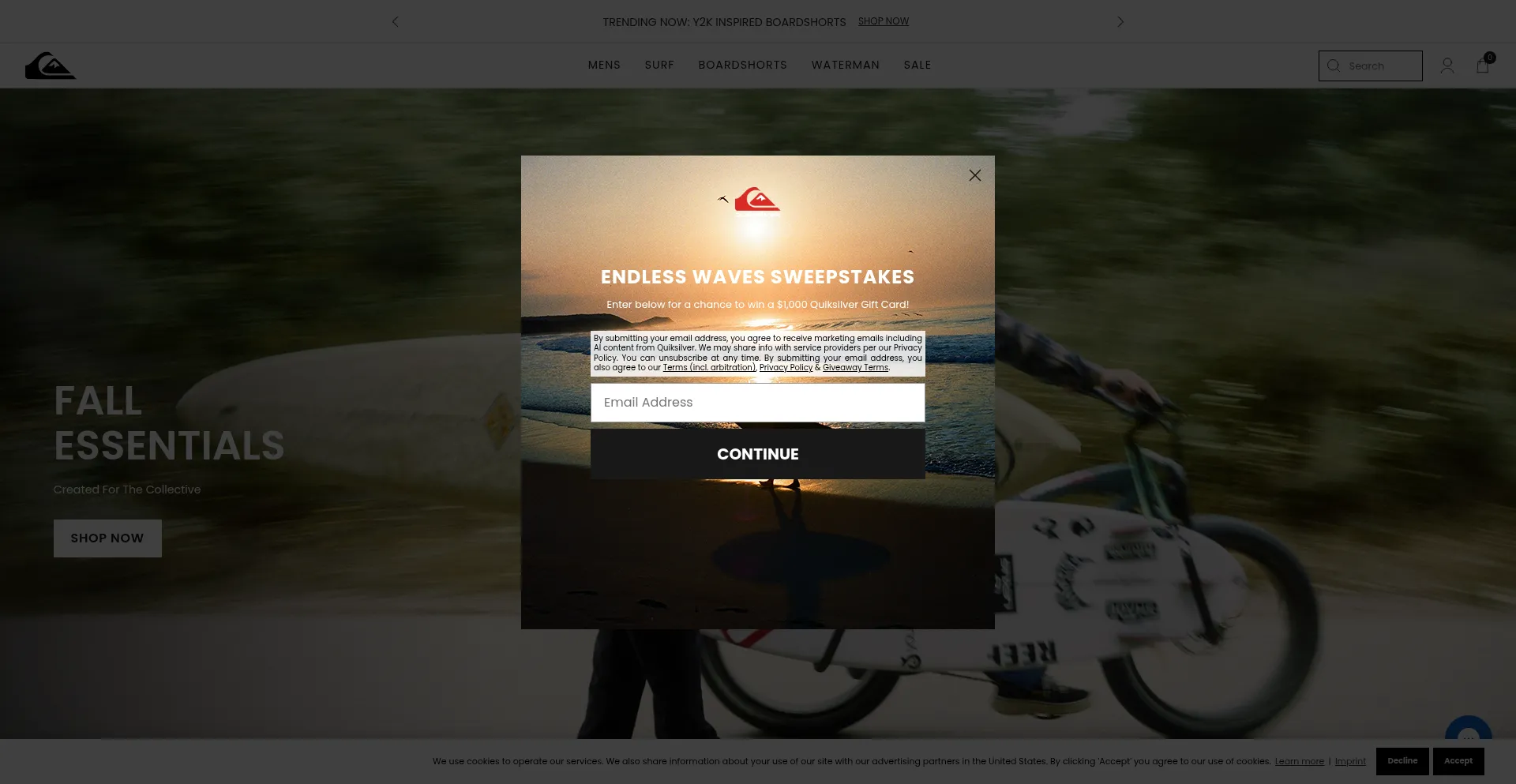 Quiksilver.com Screenshot