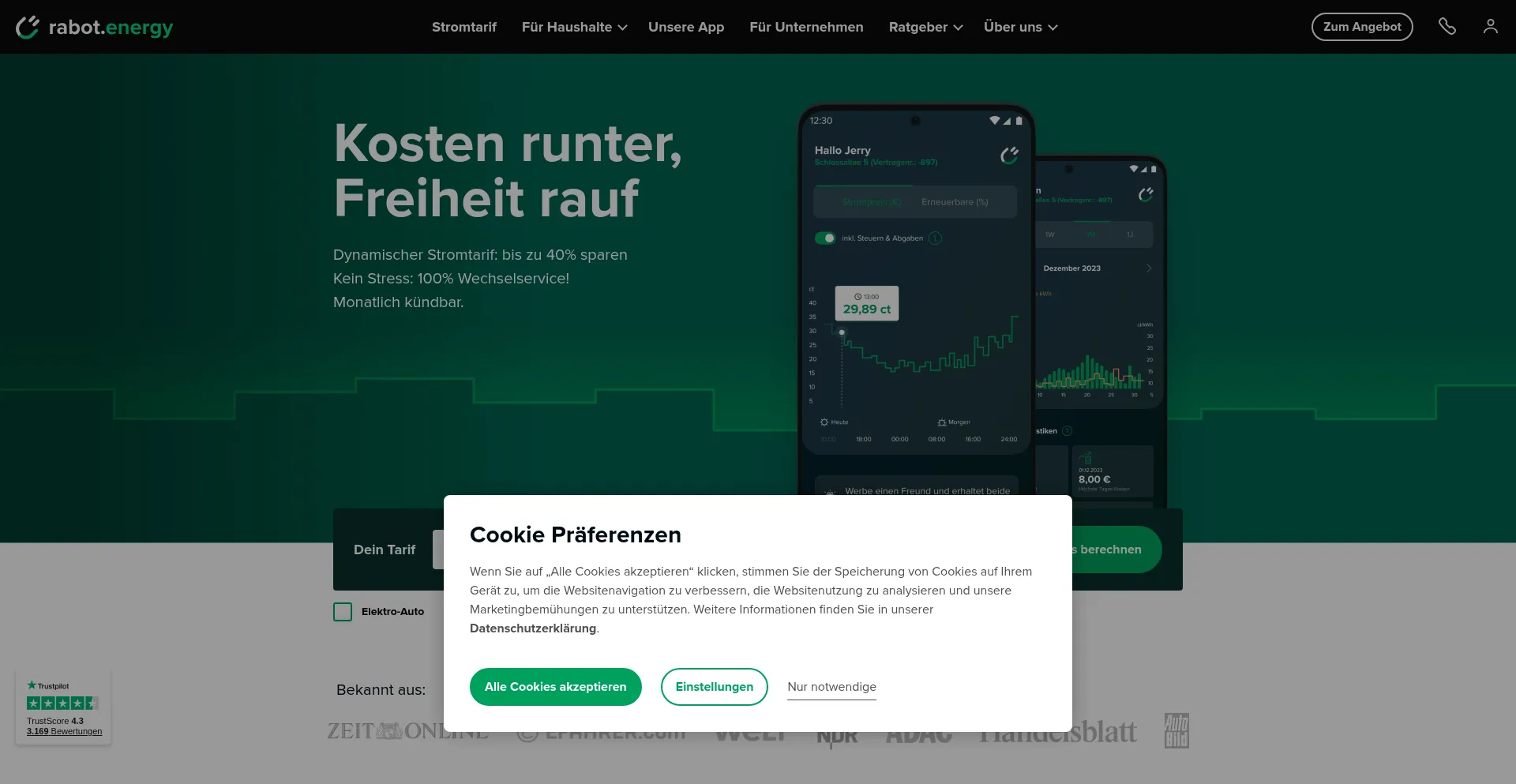 Website screenshot of Rabot.energy