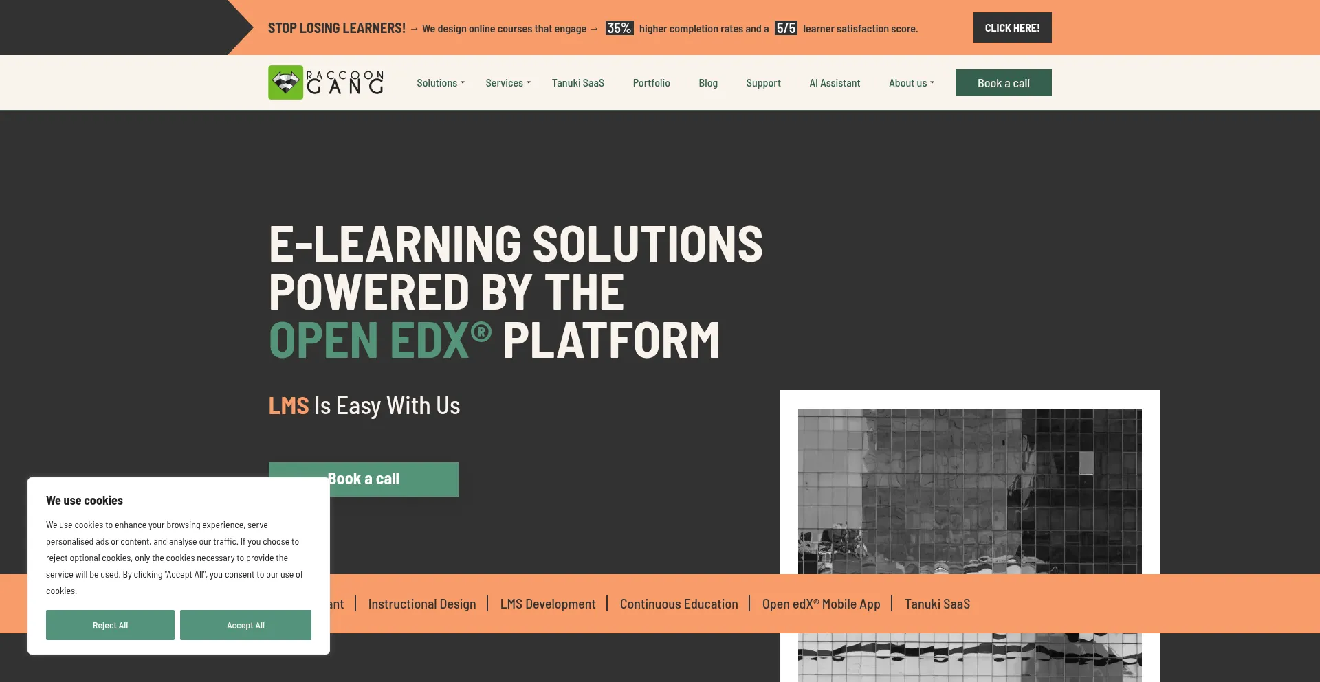 Website screenshot of Raccoongang.com