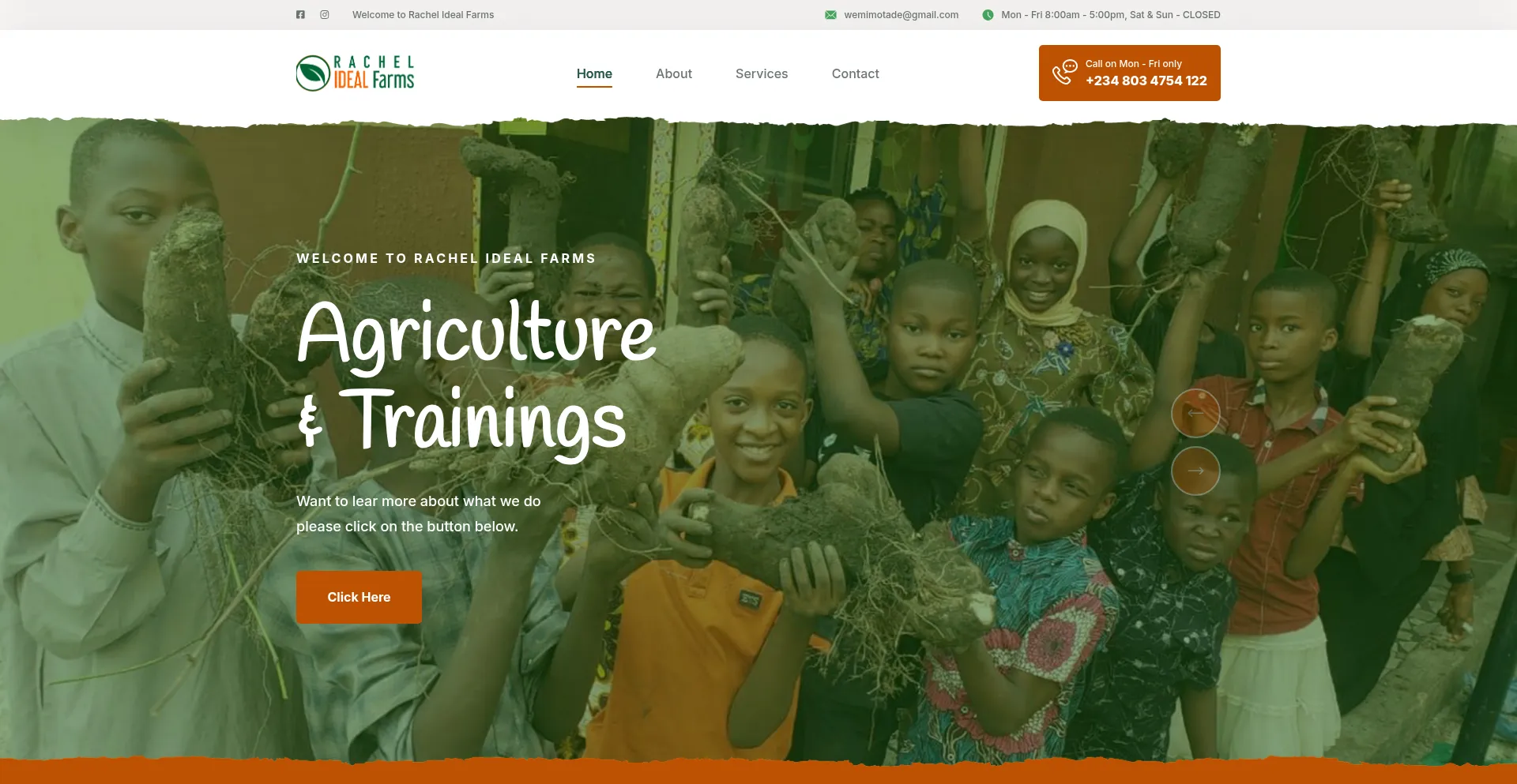Website screenshot of Rachelidealfarms.com