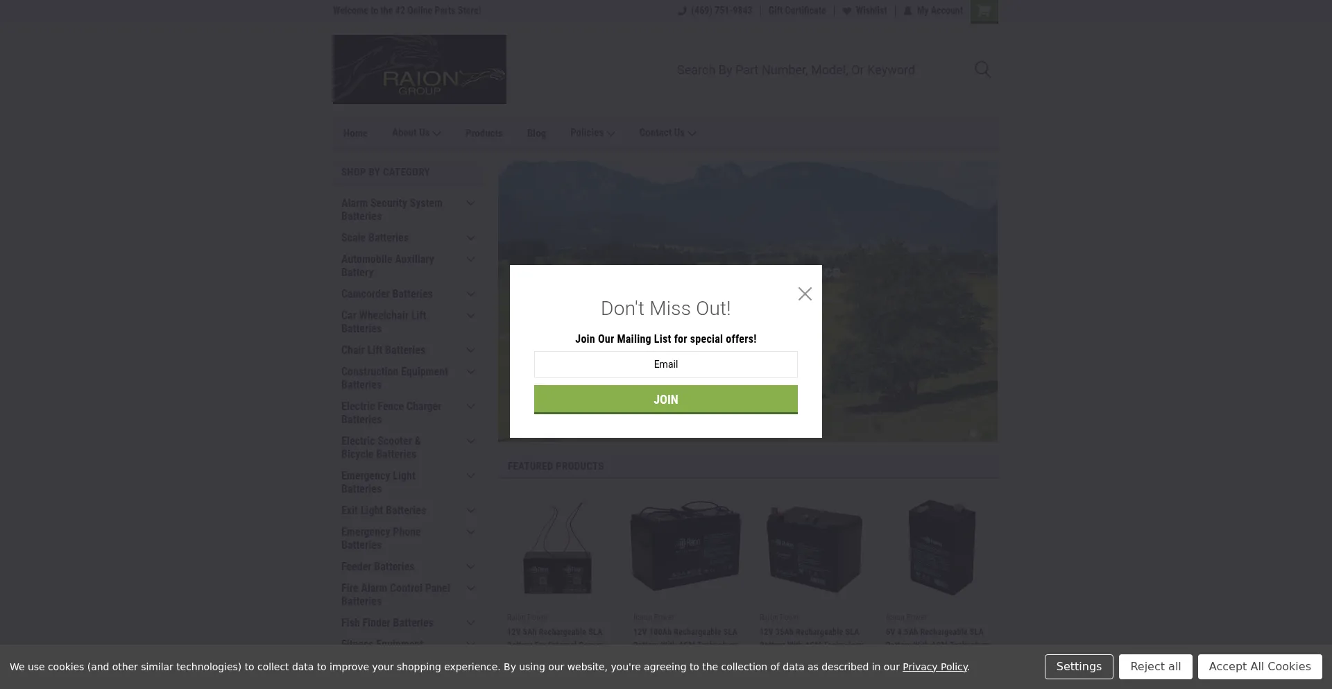 Raiongroup.com