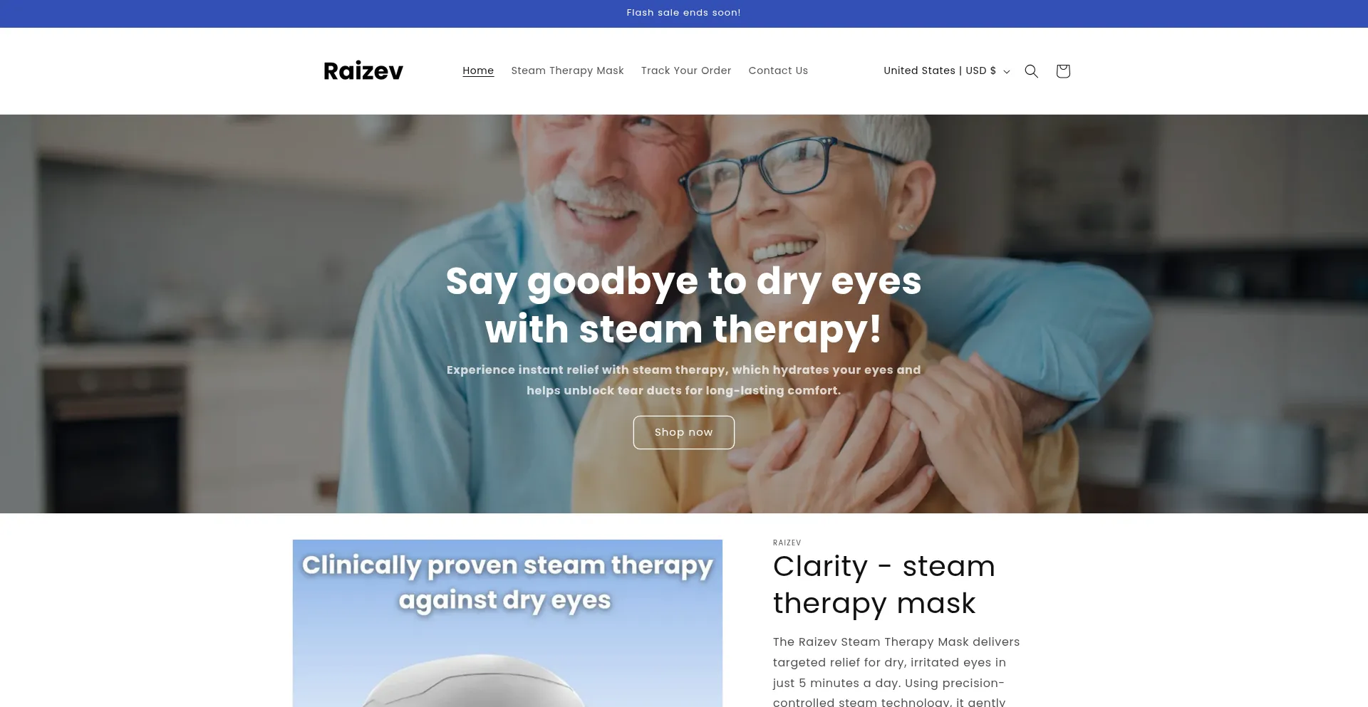 Website screenshot of Raizev.com