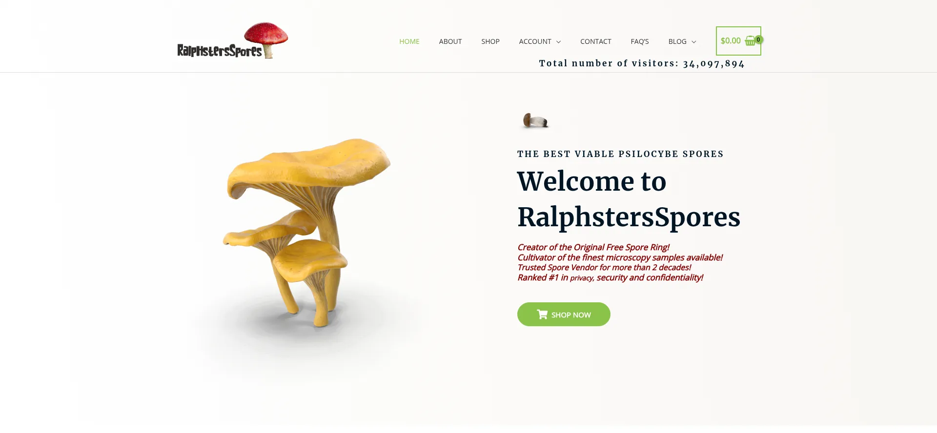 Website screenshot of Ralphstersspores.com