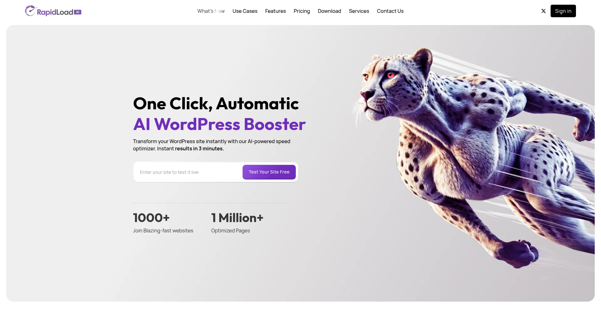 Website screenshot of Rapidload.ai
