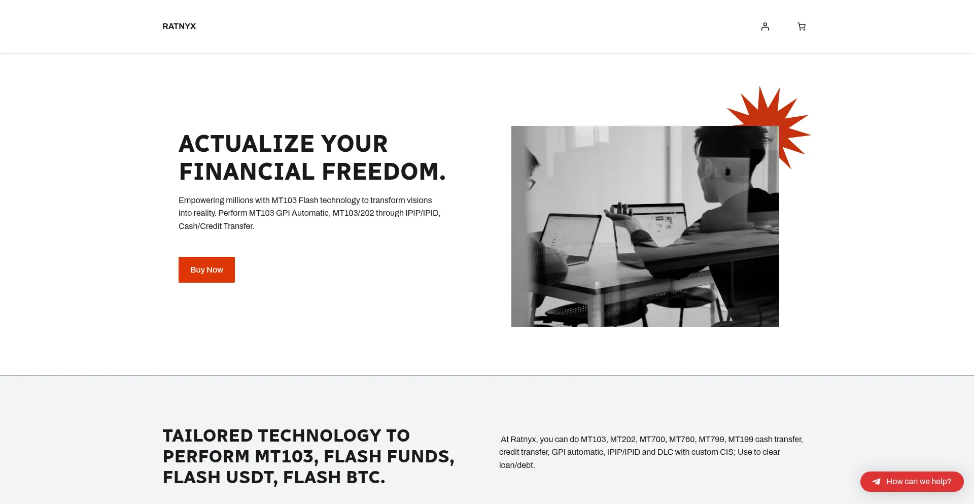 Website screenshot of Ratnyx.com