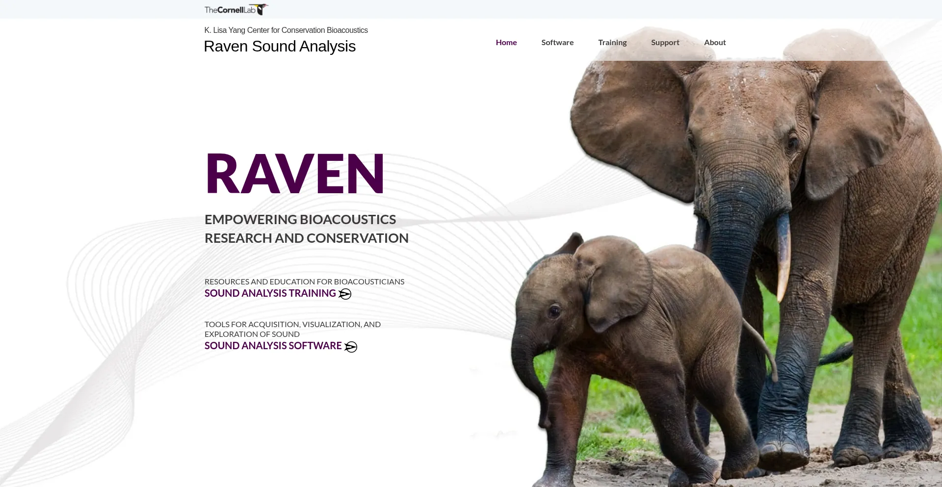 Ravensoundsoftware.com