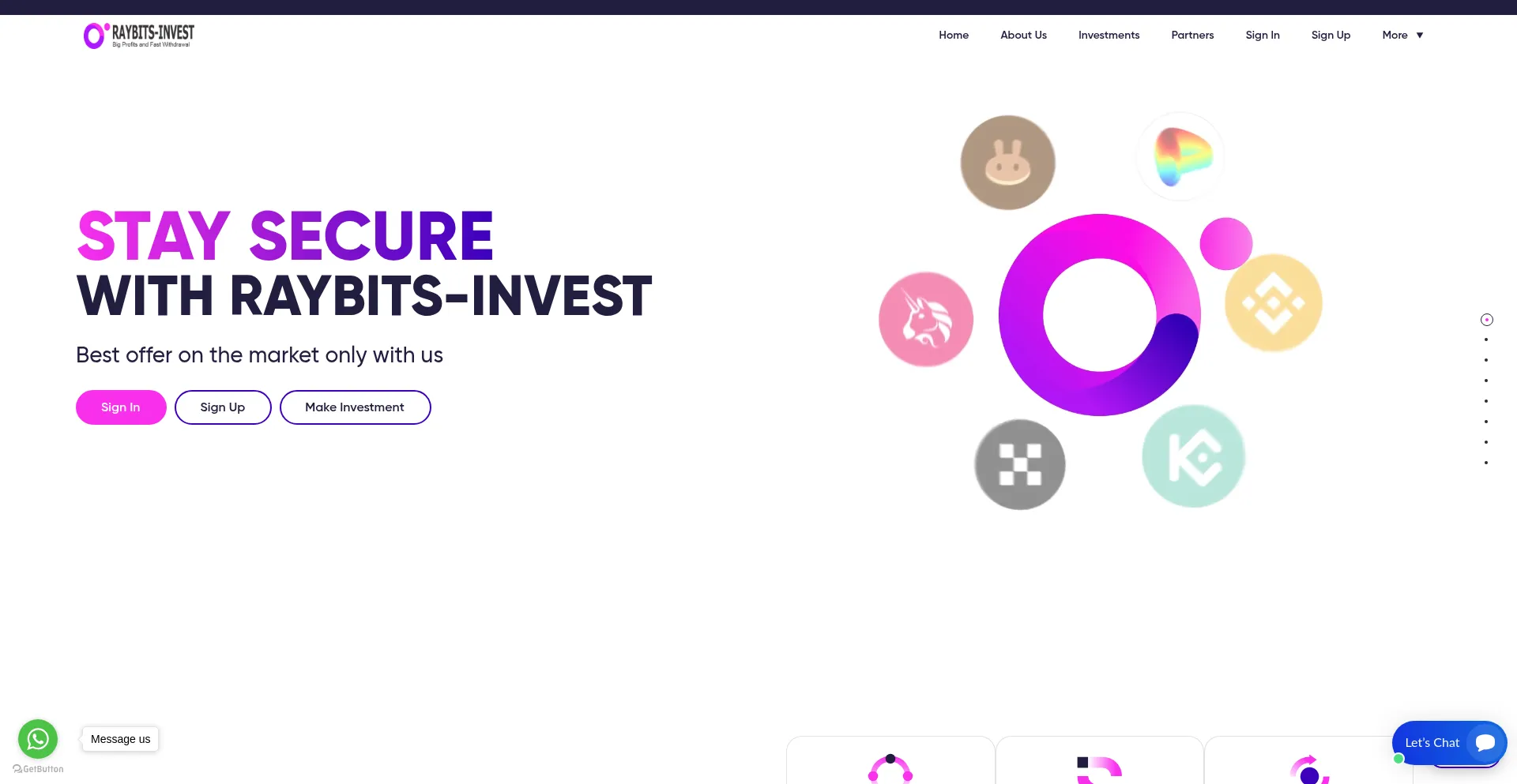 Website screenshot of Raybits-invest.com