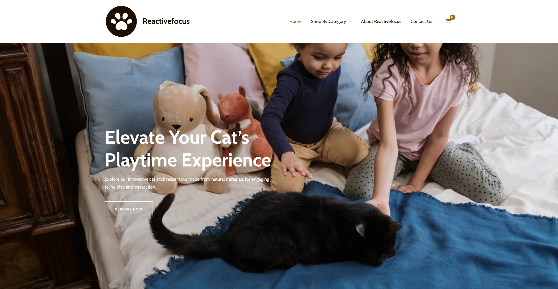 Website screenshot of Reactivefocus.com