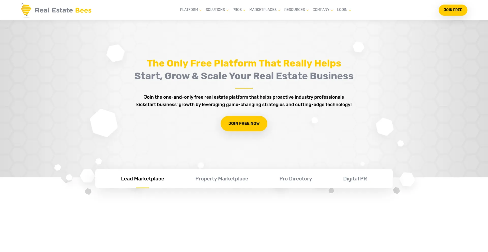 Website screenshot of Realestatebees.com