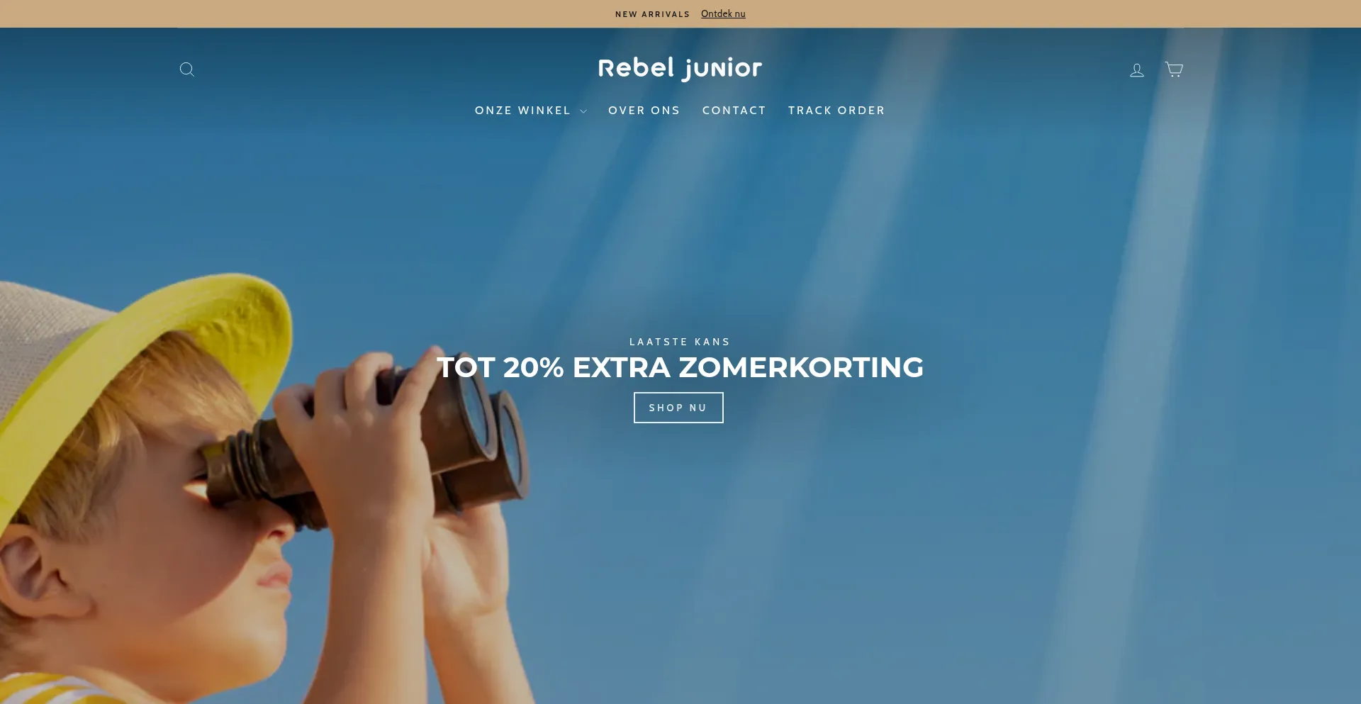 Website screenshot of Rebeljunior.com