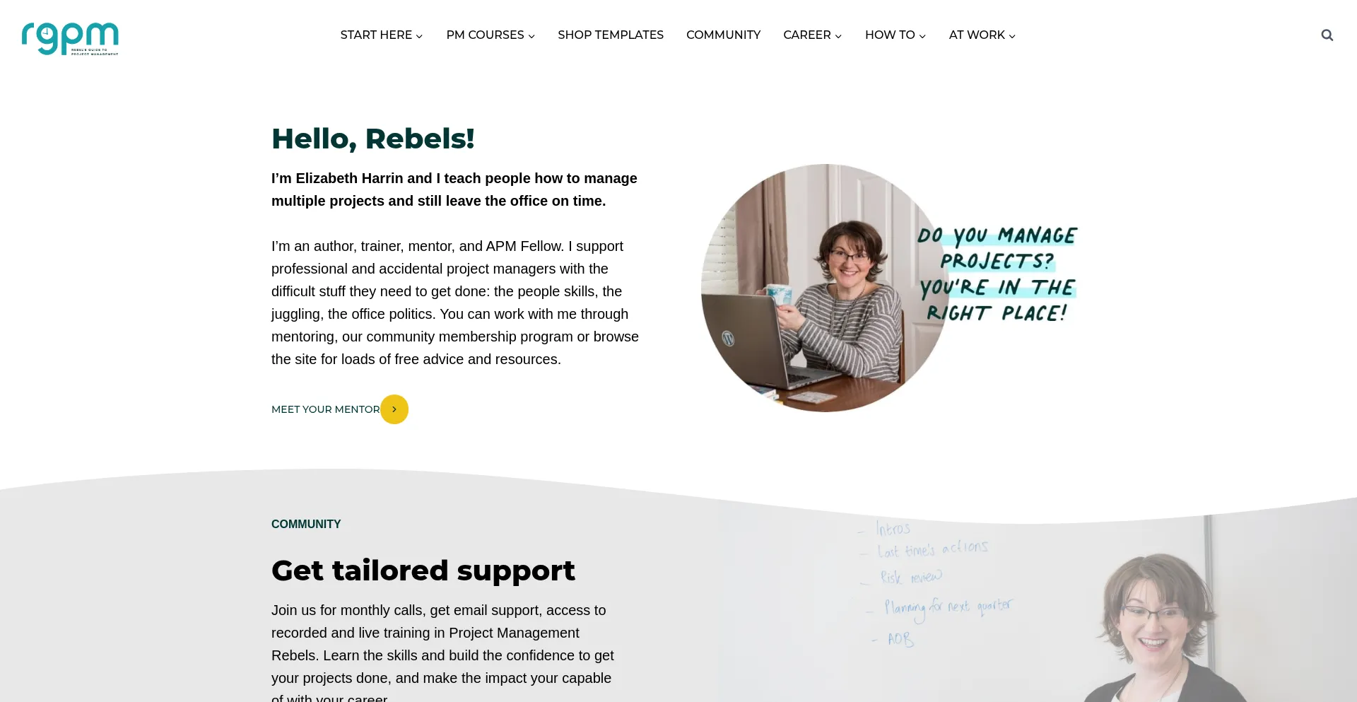 Website screenshot of Rebelsguidetopm.com