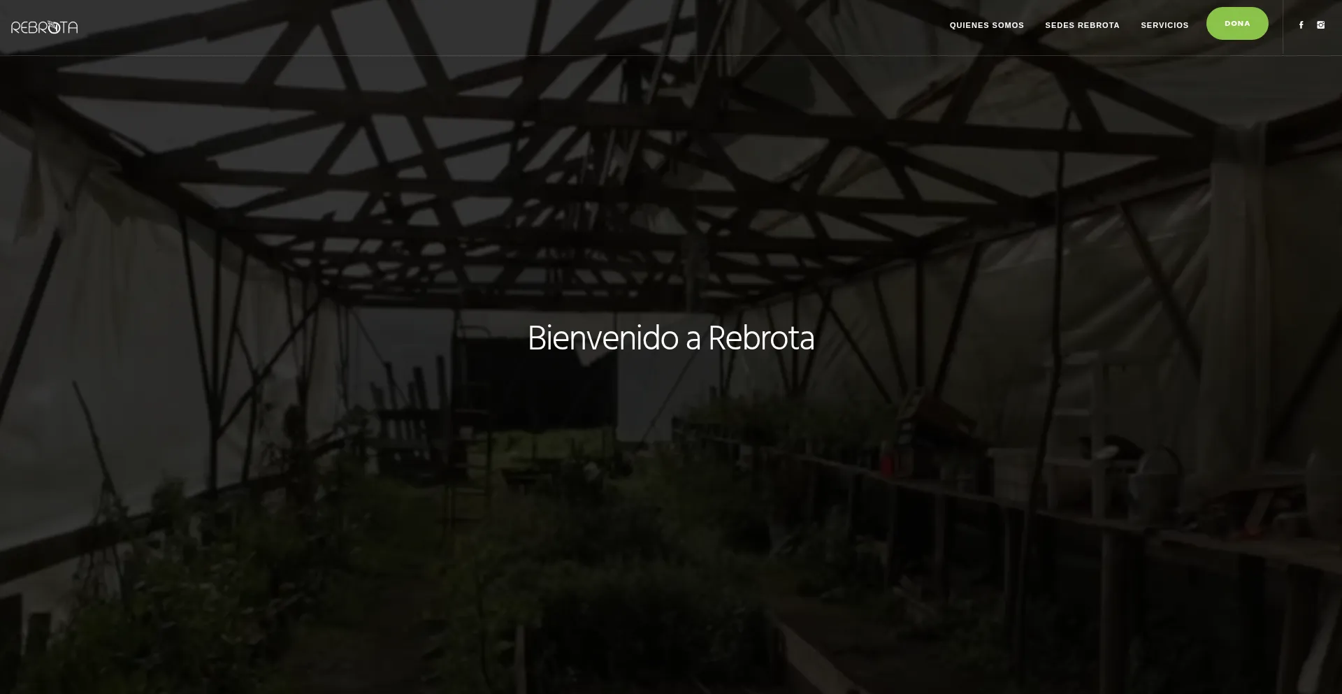 Rebrota.cl Screenshot