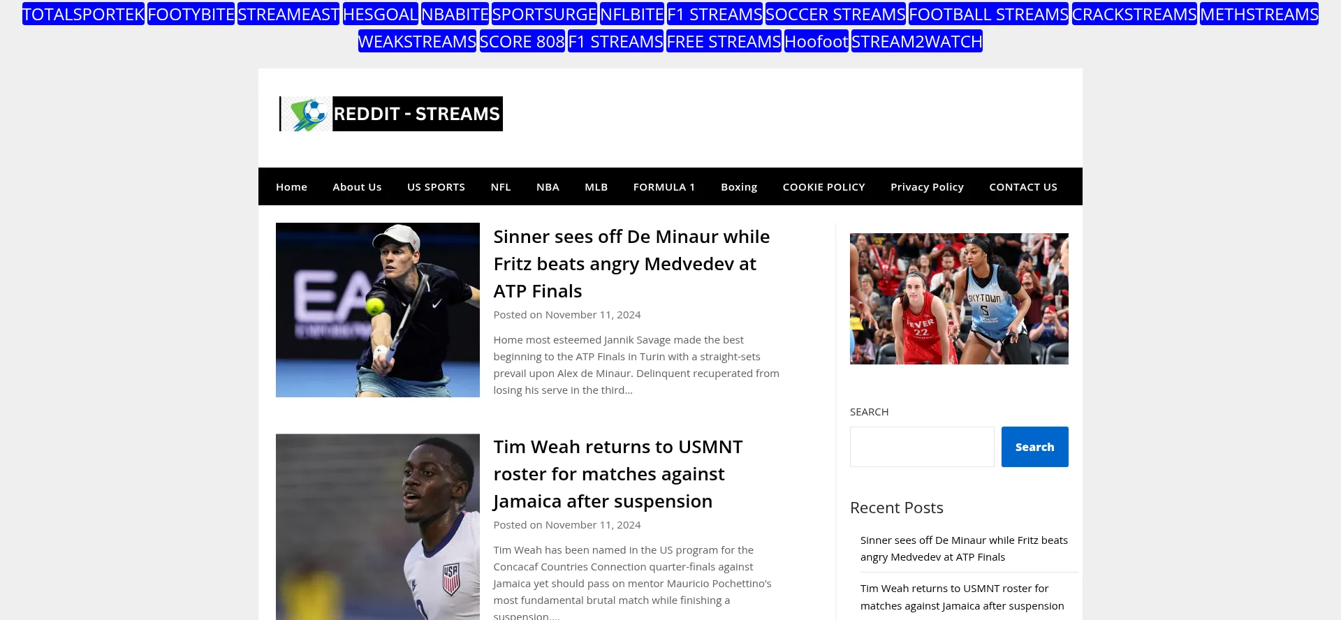 Website screenshot of Reddit-streams.online
