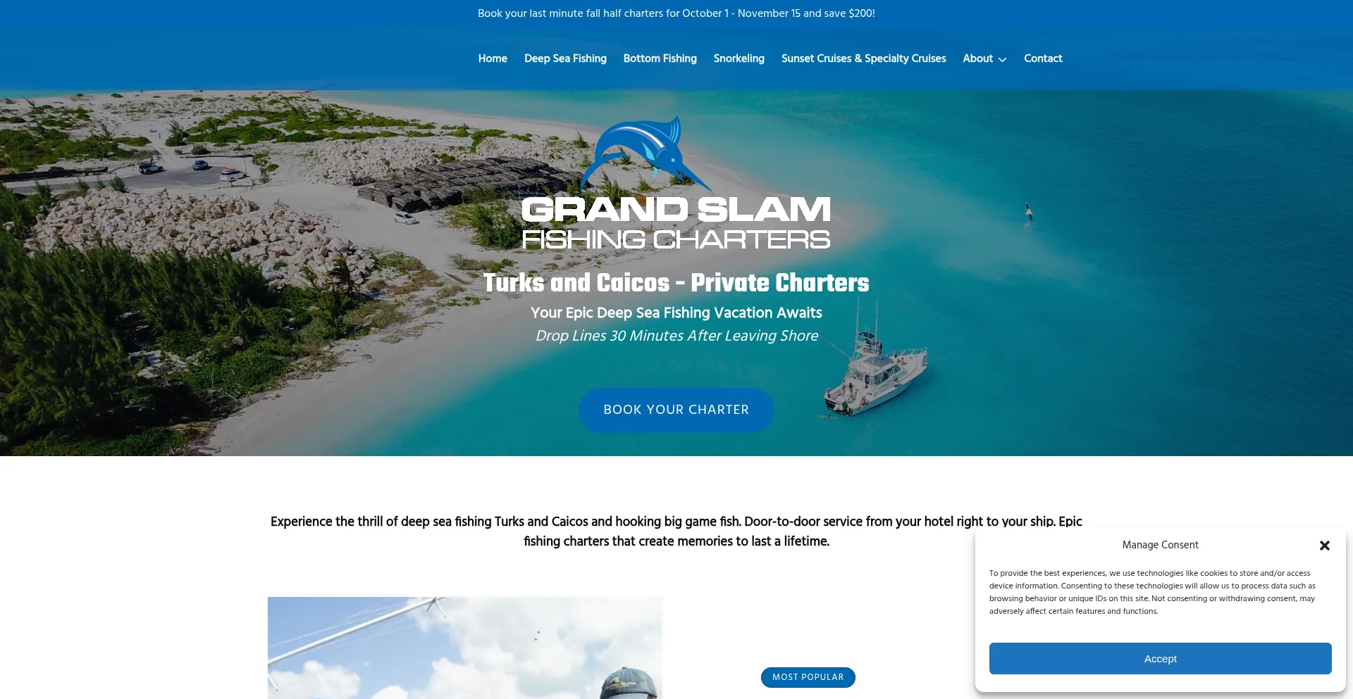 Reel-dealz.com Screenshot