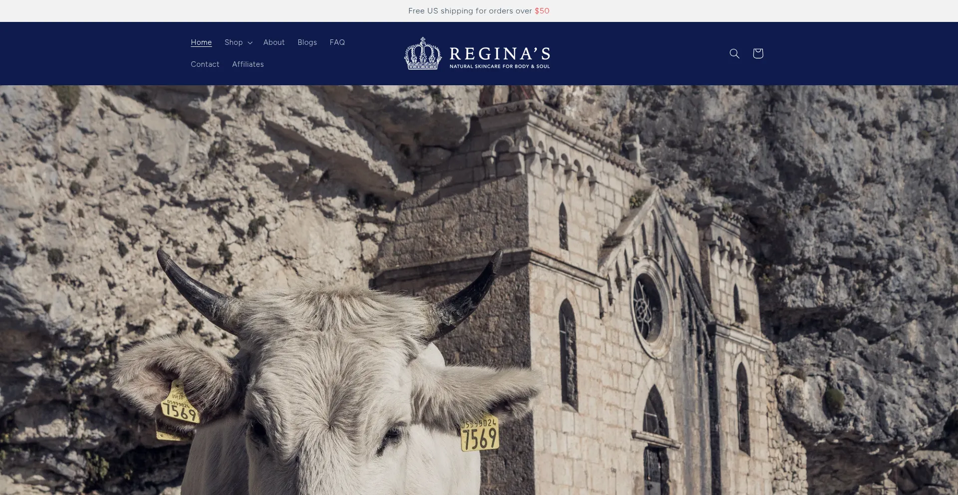 Website screenshot of Reginasskincare.com