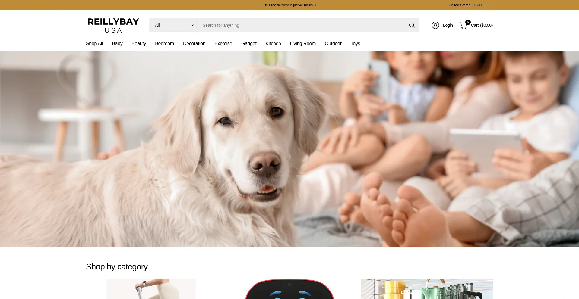 Website screenshot of Reillybay.com