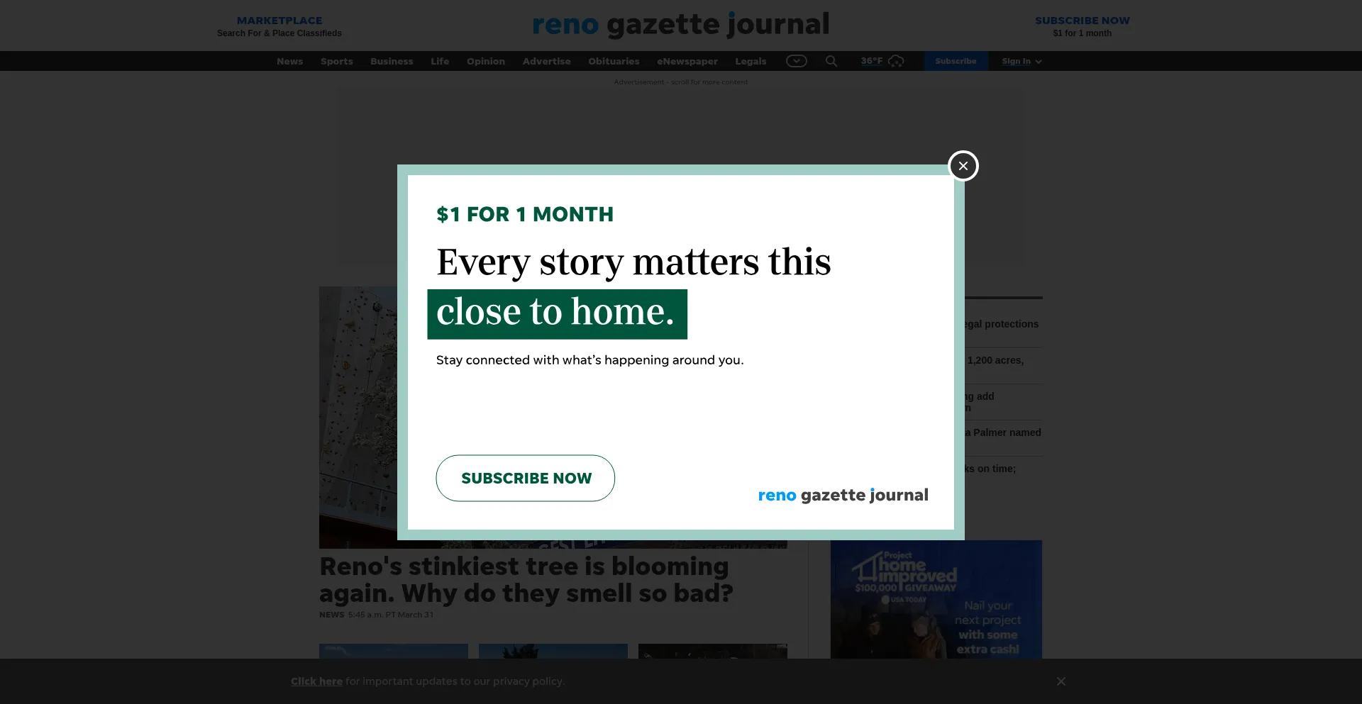 Website screenshot of Reno.com