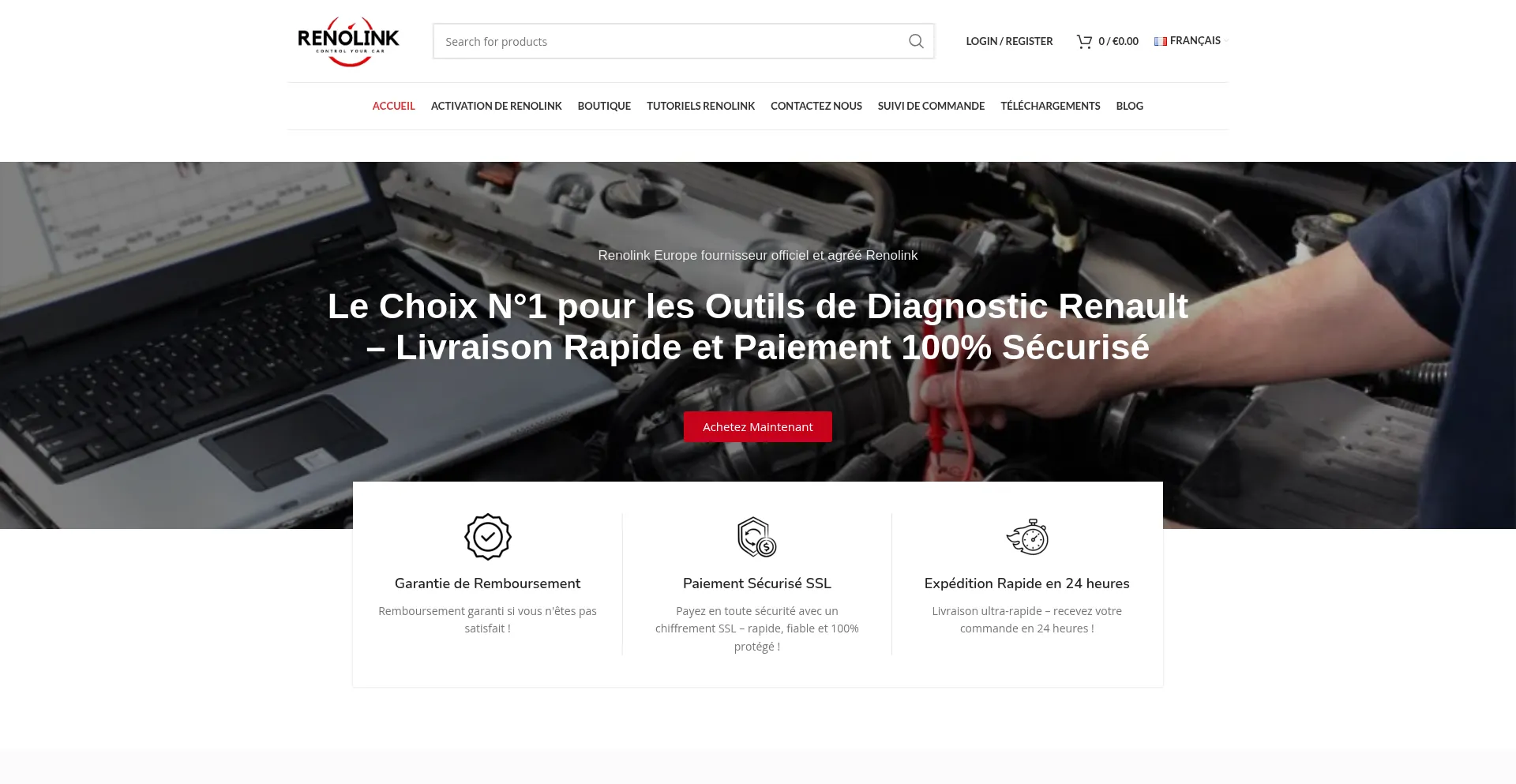 Website screenshot of Renolink.store