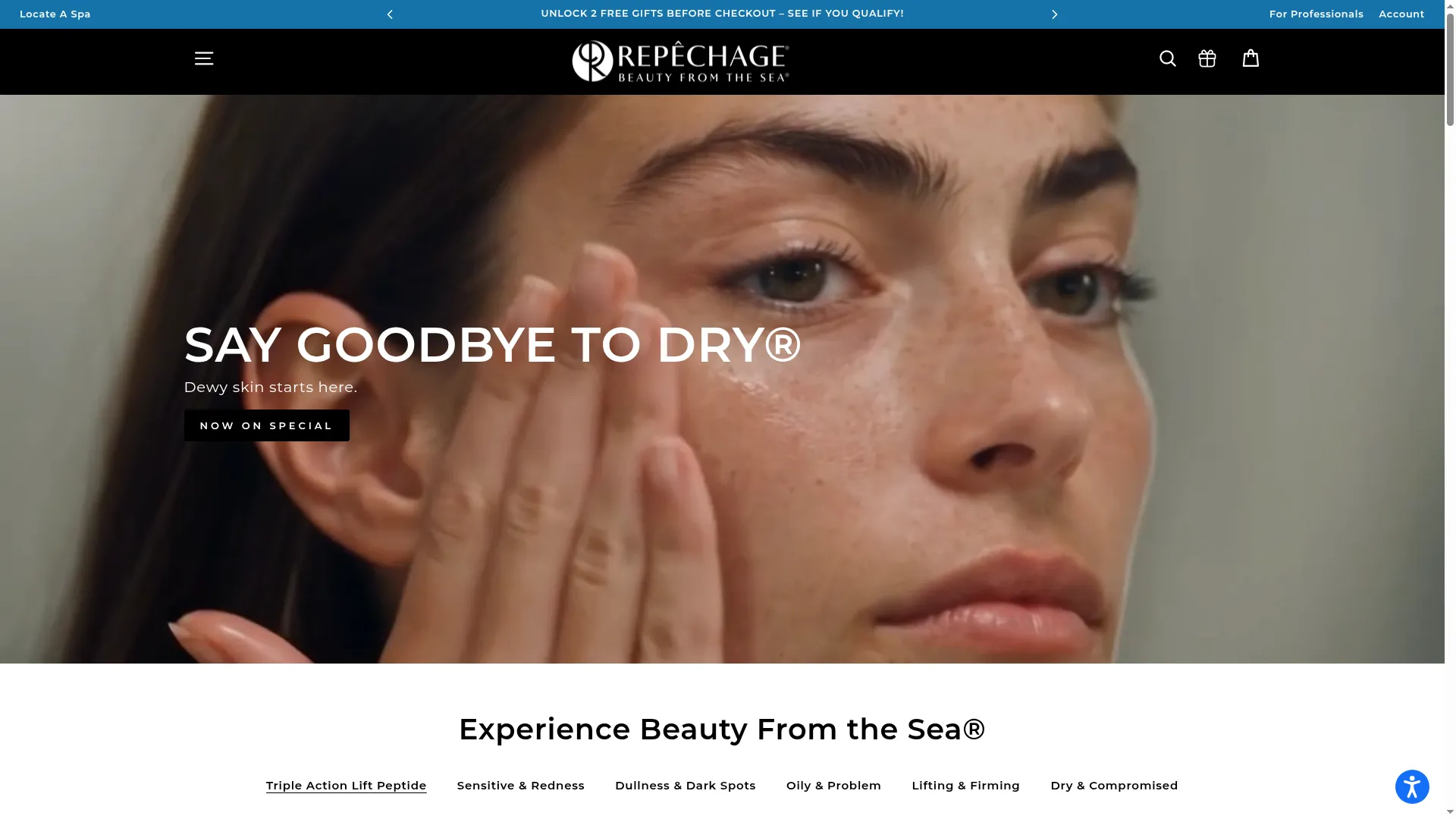 Repechage.com