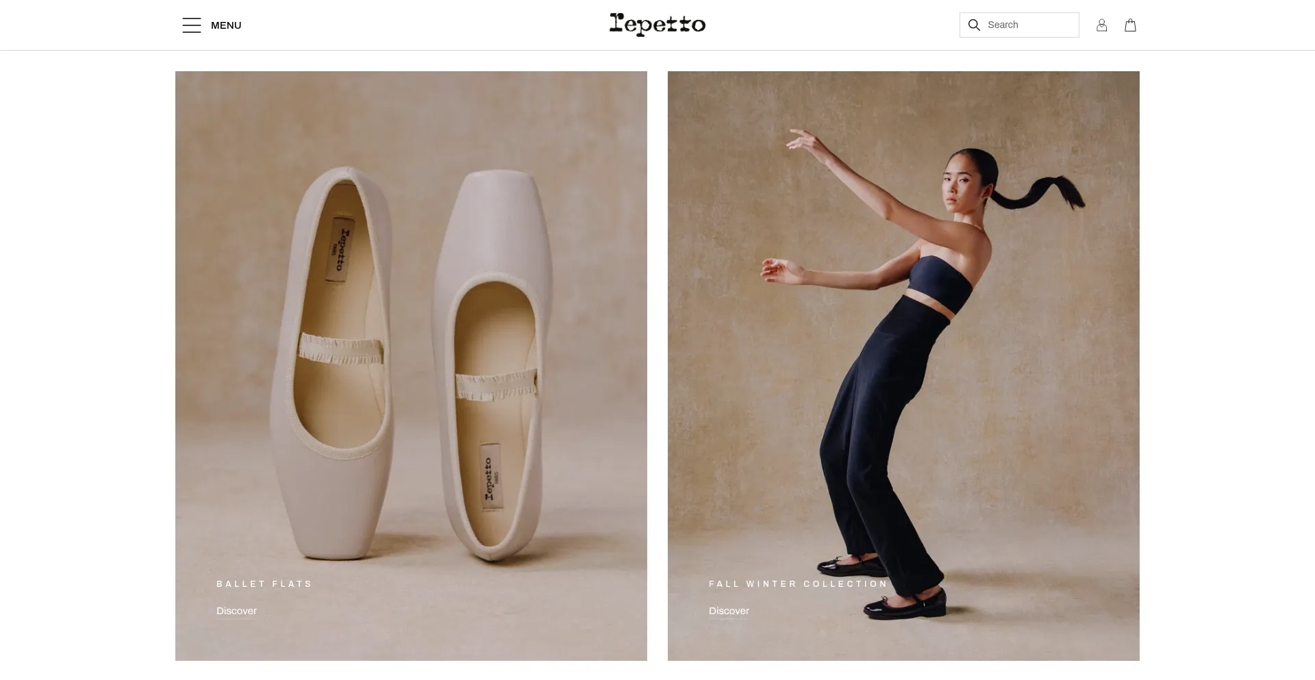 Website screenshot of Repetto.us