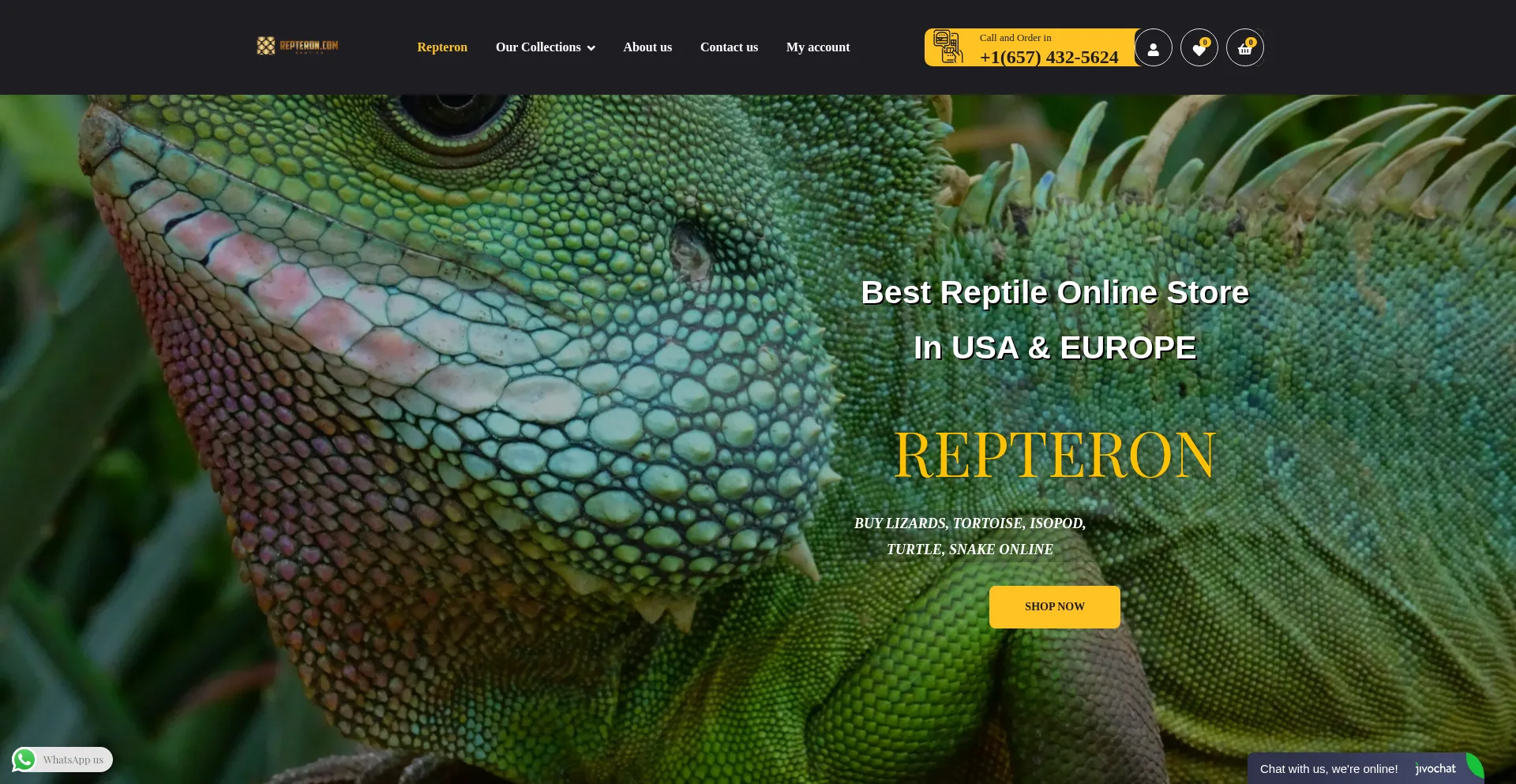 Repteron.com
