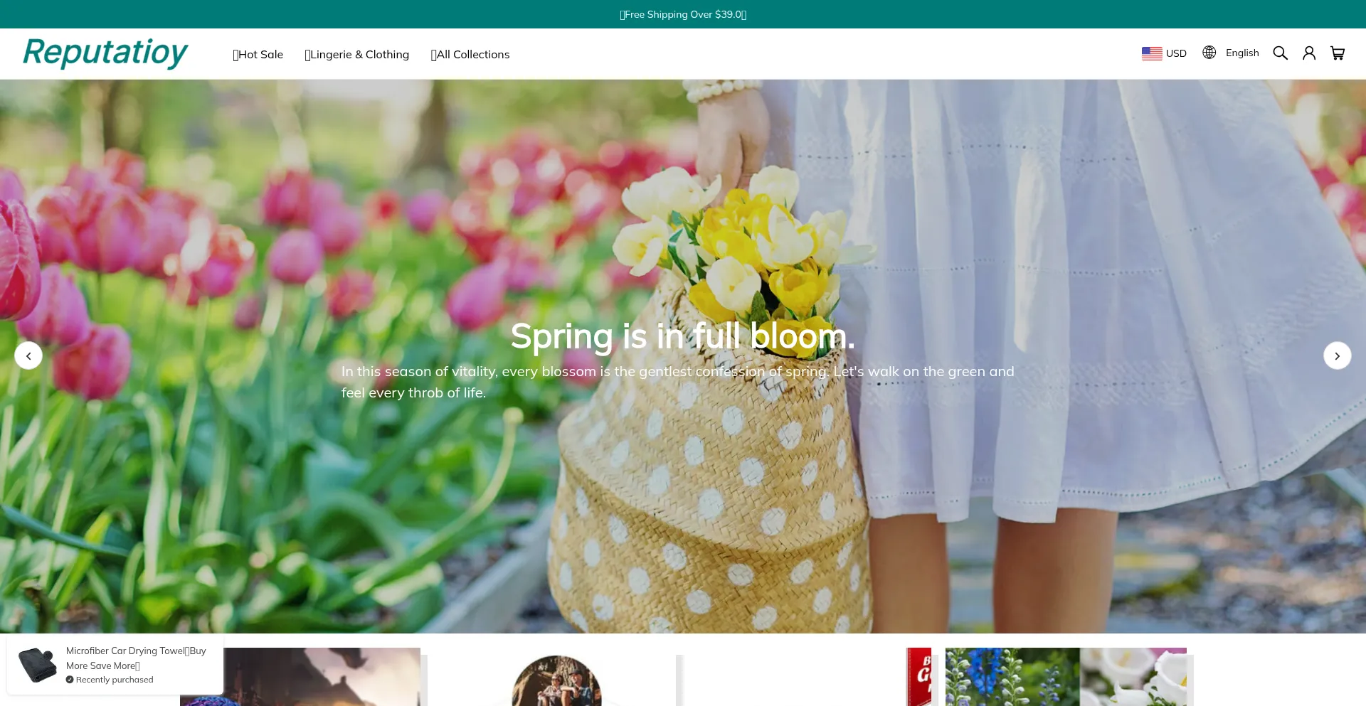 Website screenshot of Reputatioy.com