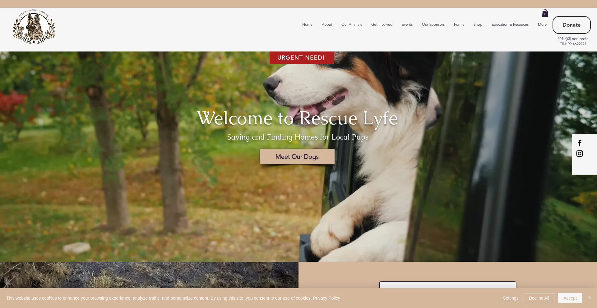 Website screenshot of Rescuelyfe.org