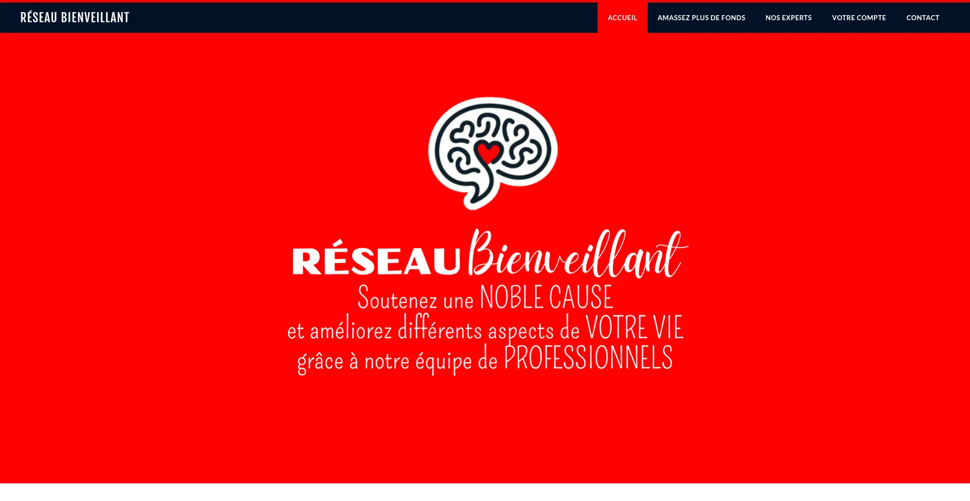 Reseaubienveillant.com Screenshot