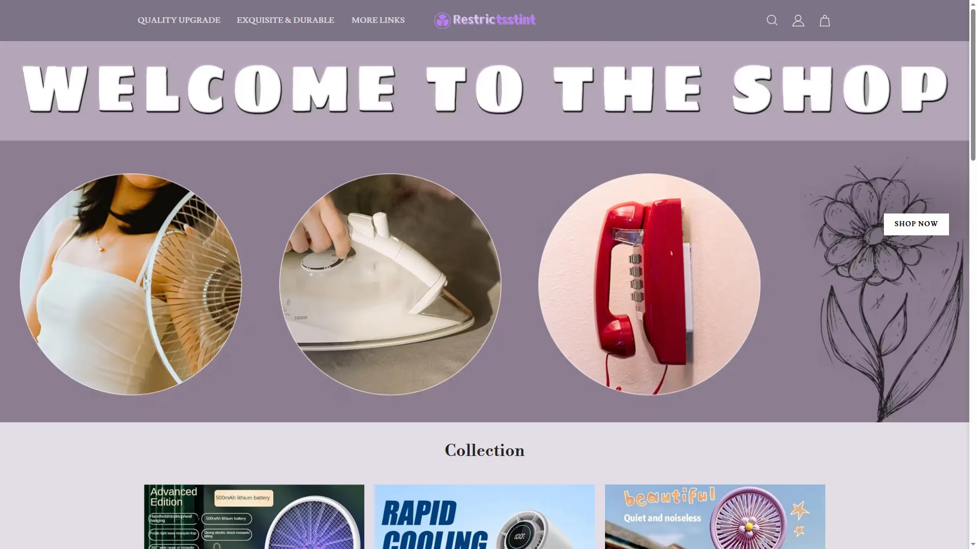 Restrictsstint.com