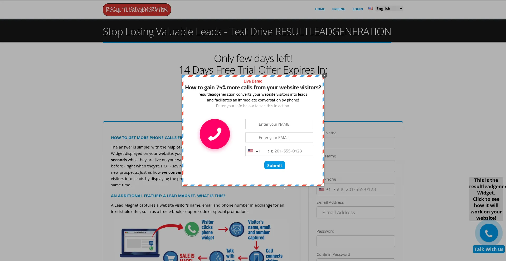 Website screenshot of Resultleadgeneration.com