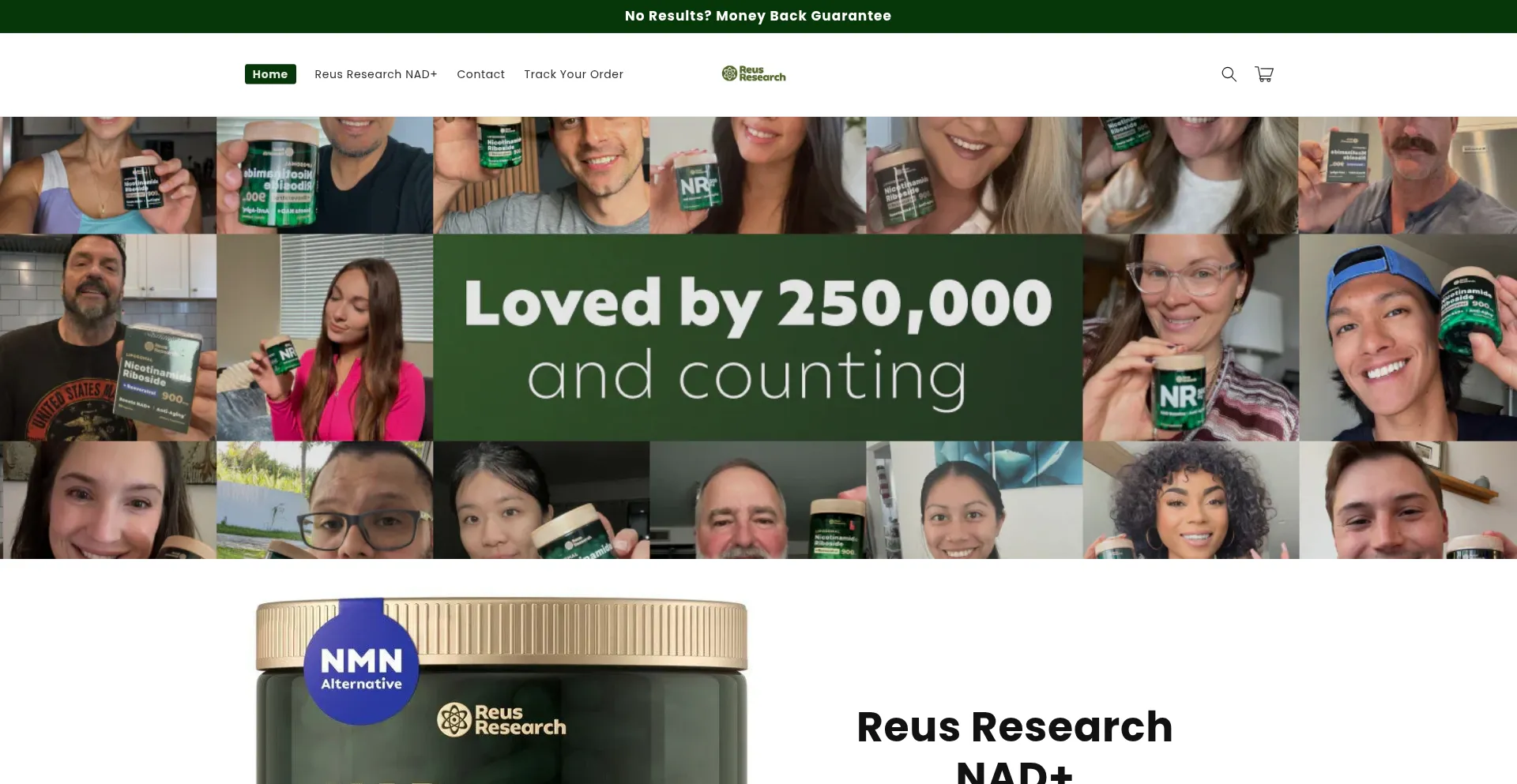 Website screenshot of Reusresearch.us