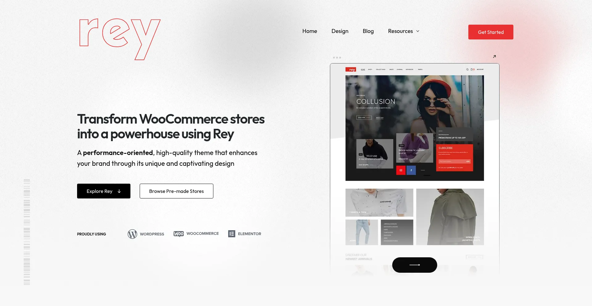 Website screenshot of Reytheme.com