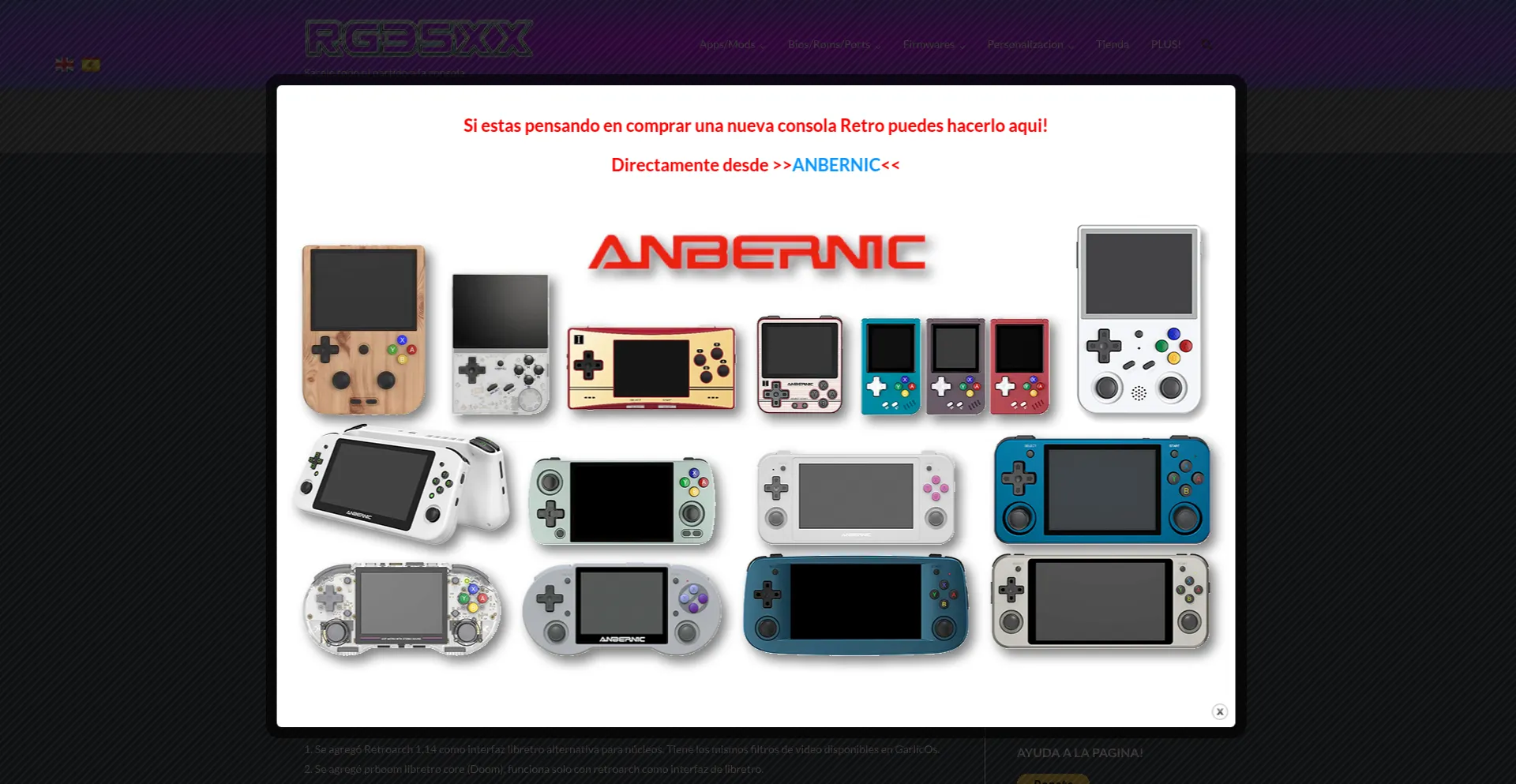 Website screenshot of Rg35xx.com