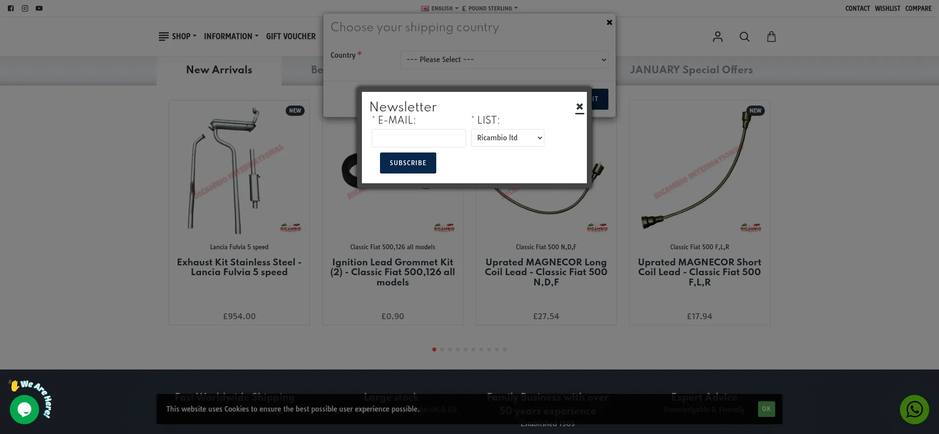 Website screenshot of Ricambio.co.uk