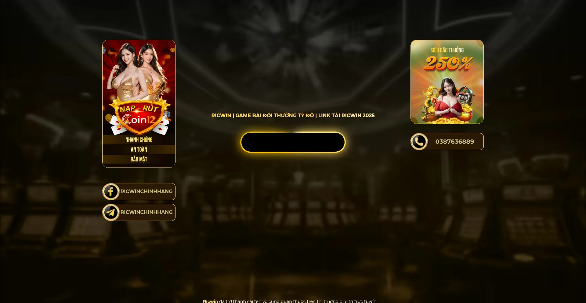 Ricwin.com.co Screenshot