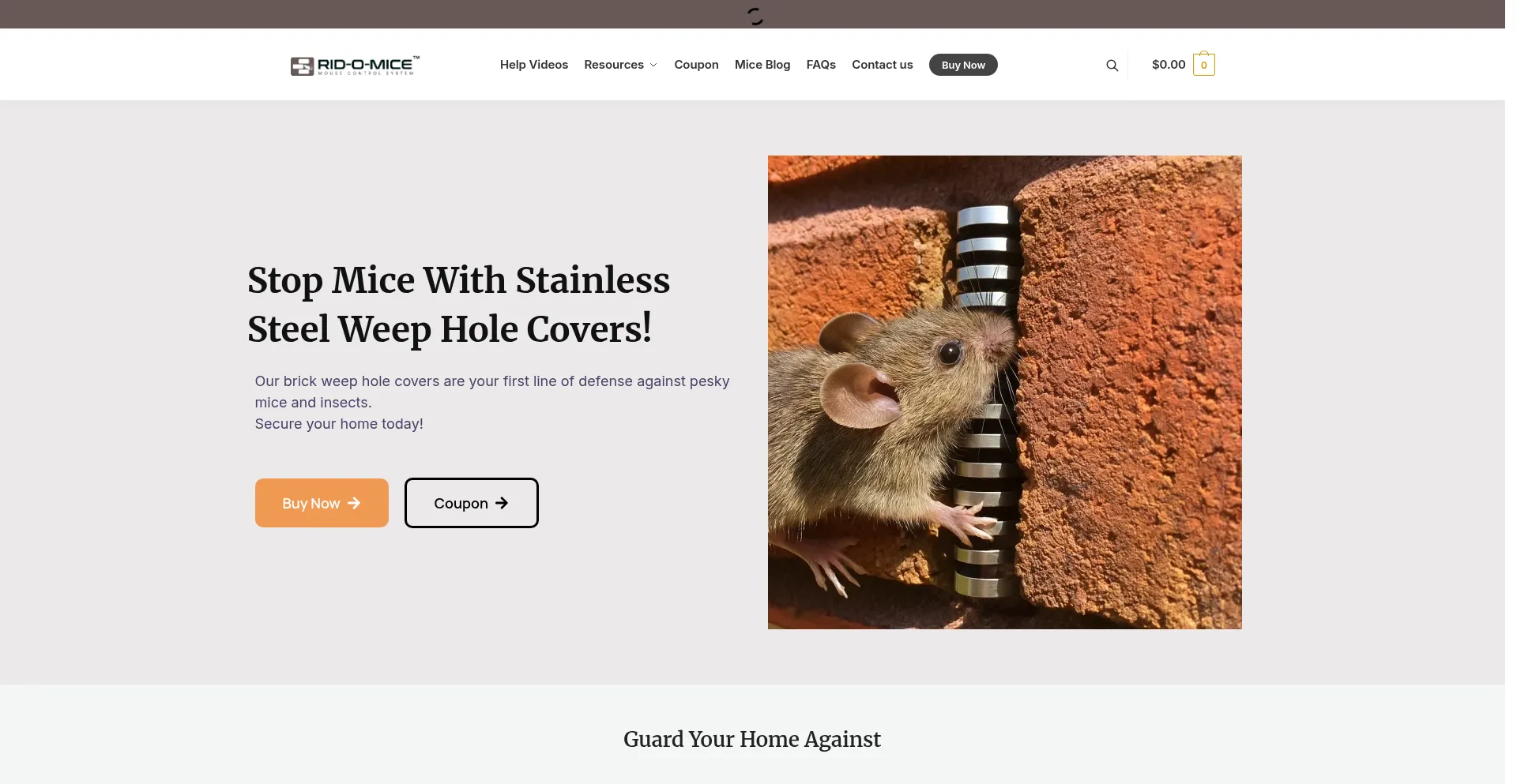 Ridofmice.net