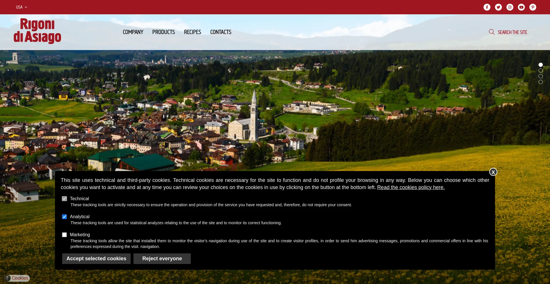 Website screenshot of Rigonidiasiago-usa.com
