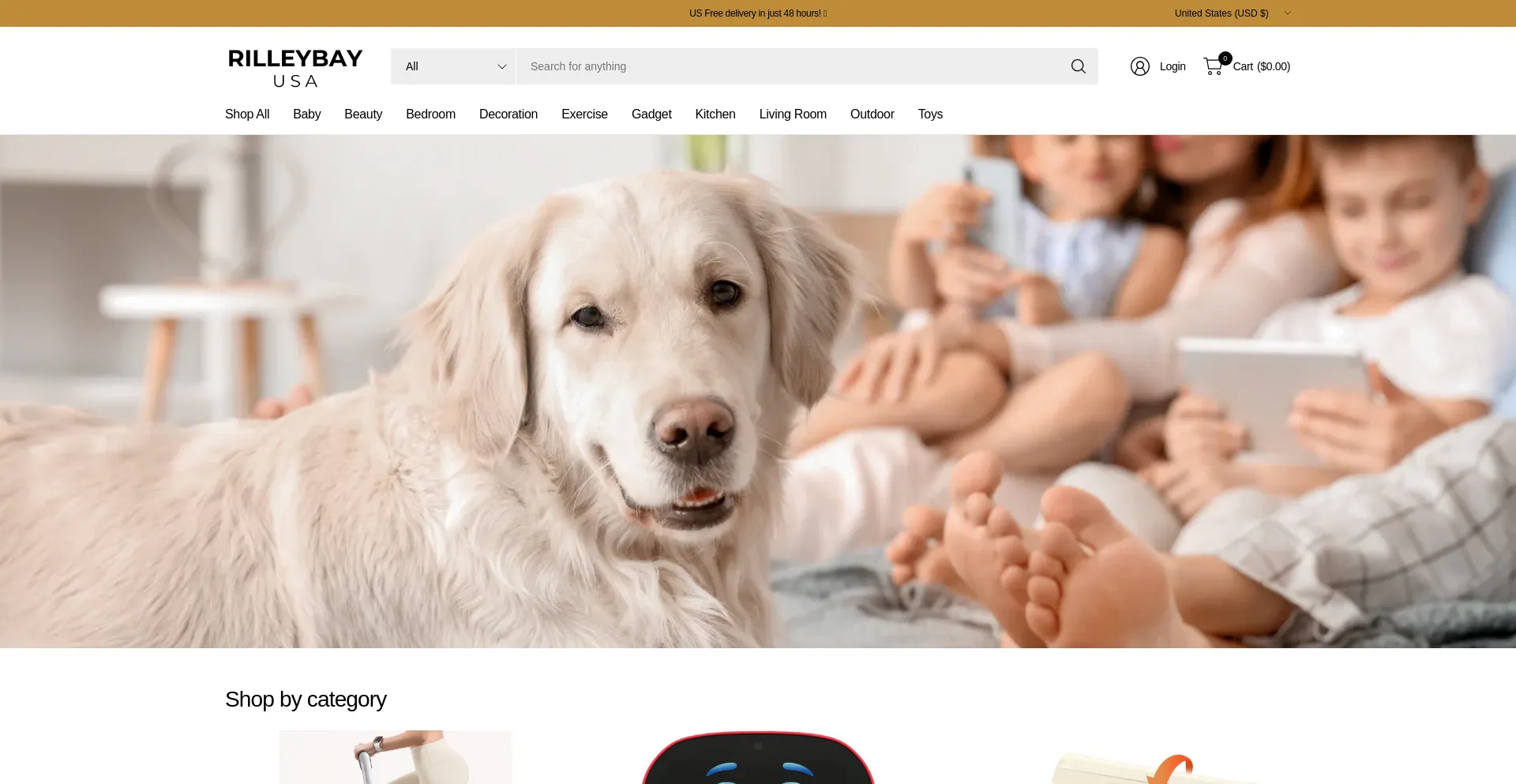 Website screenshot of Rilleybay.com