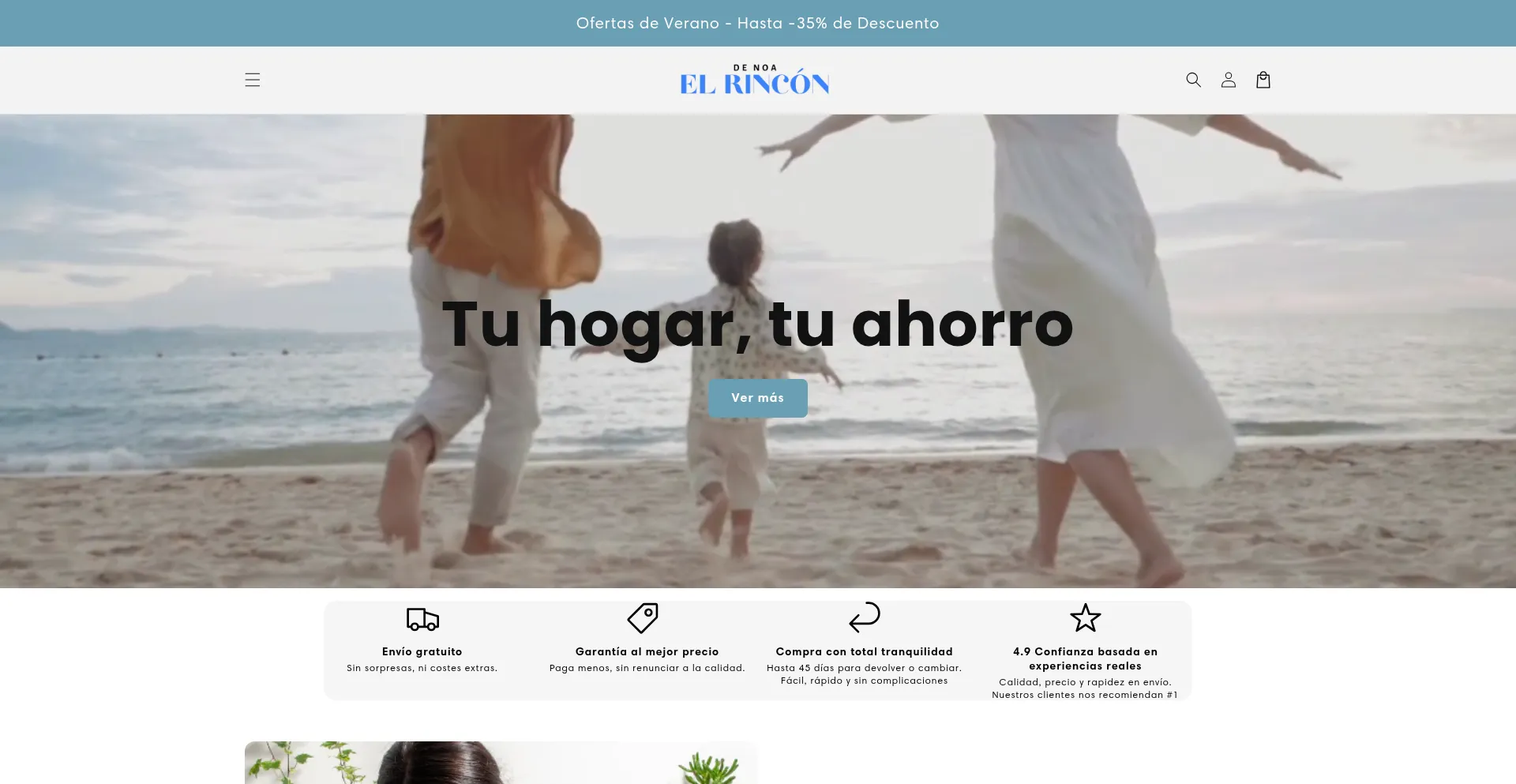 Website screenshot of Rincondenoa.com