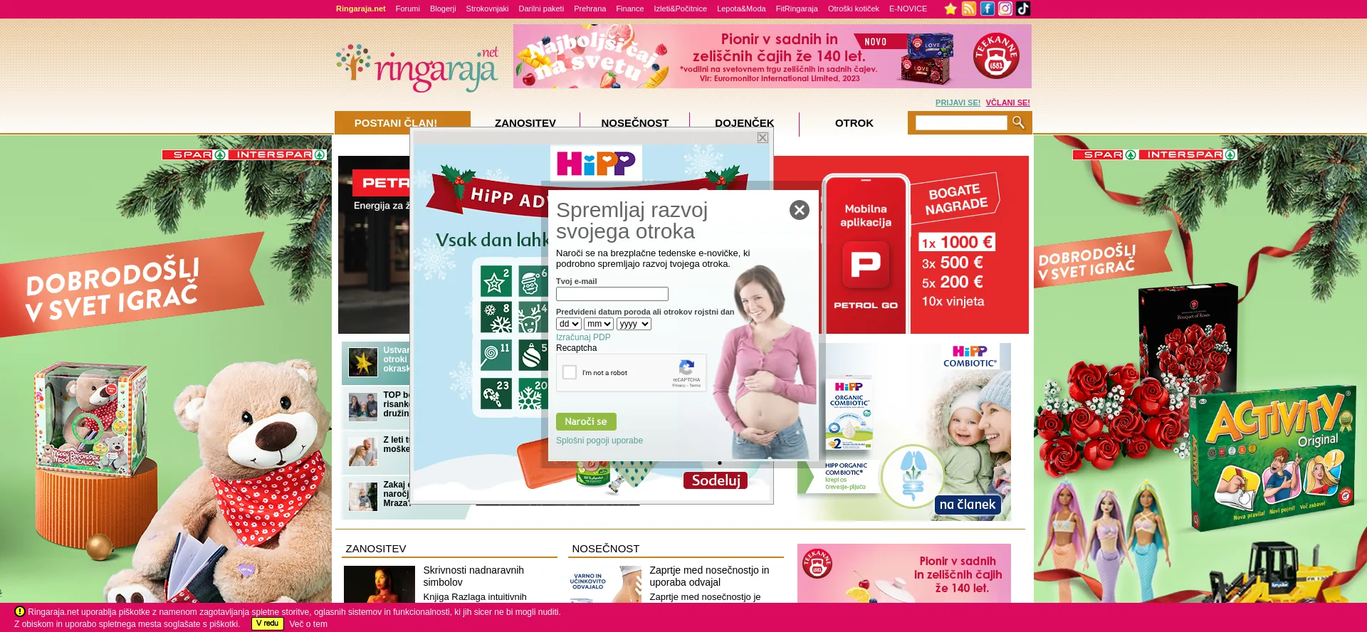 Website screenshot of Ringaraja.net