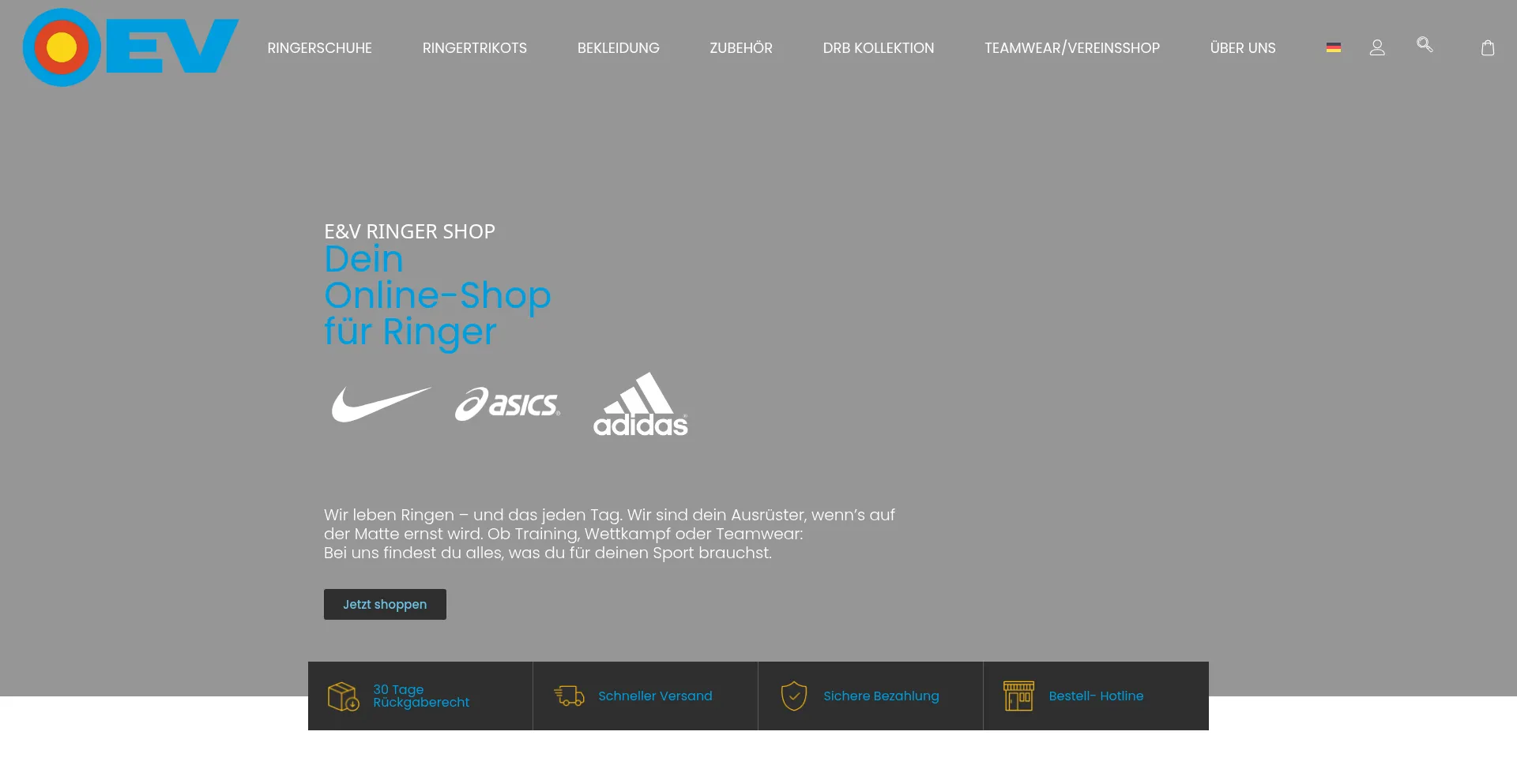 Is Ringer-sport.de Safe?