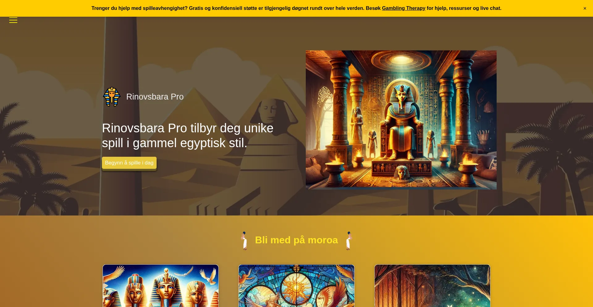 Website screenshot of Rinovsbara.com